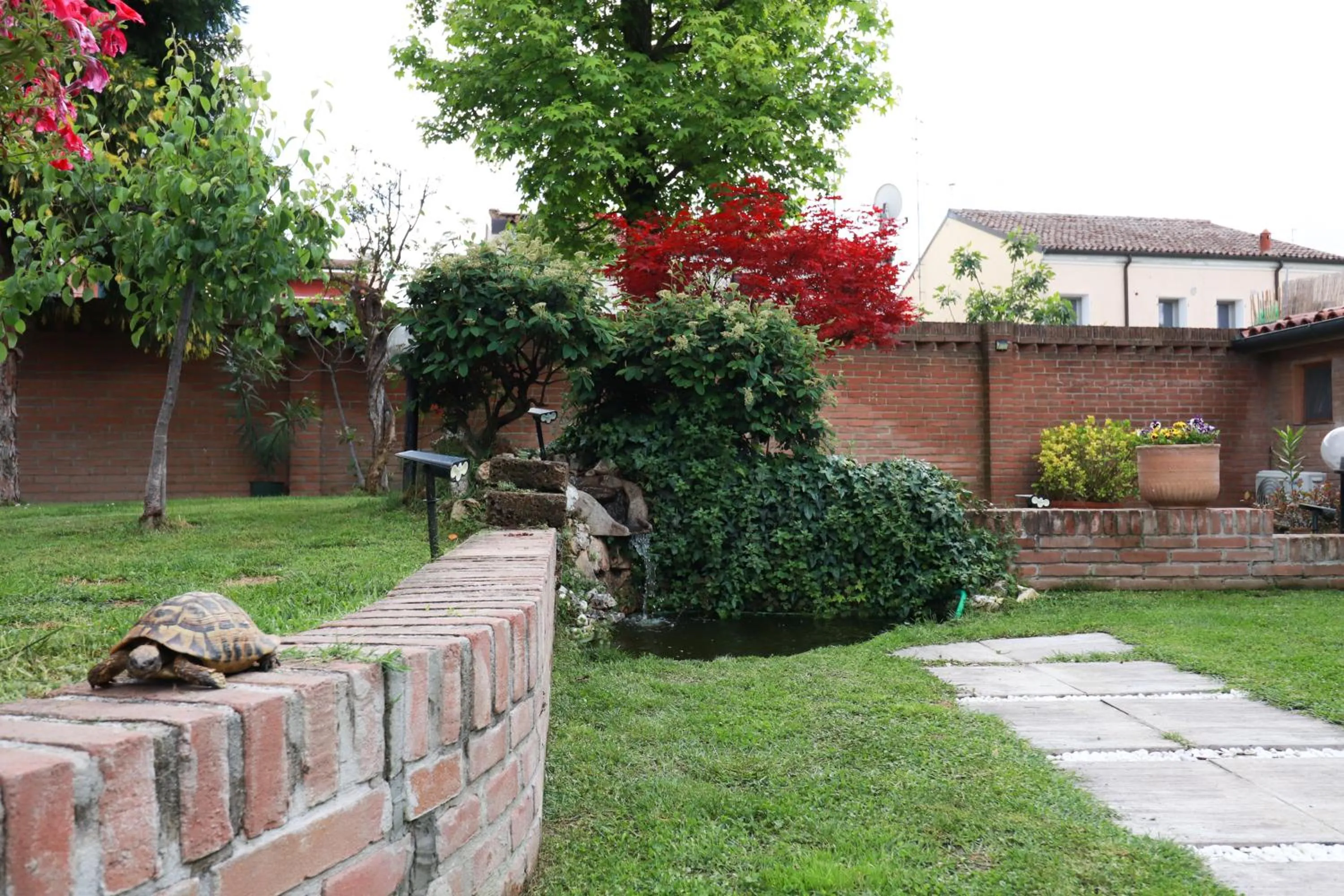 Garden in Villa Estense