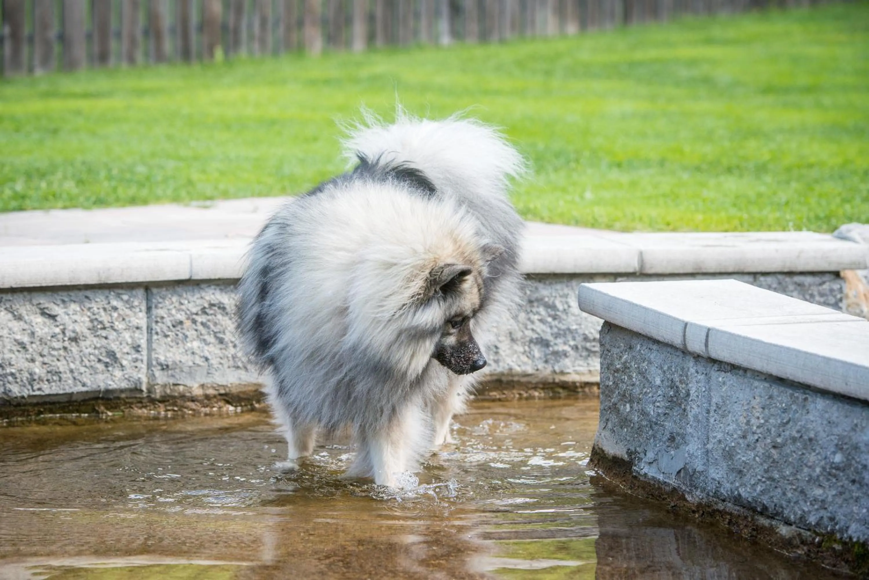 Garden in Hotel Sonja