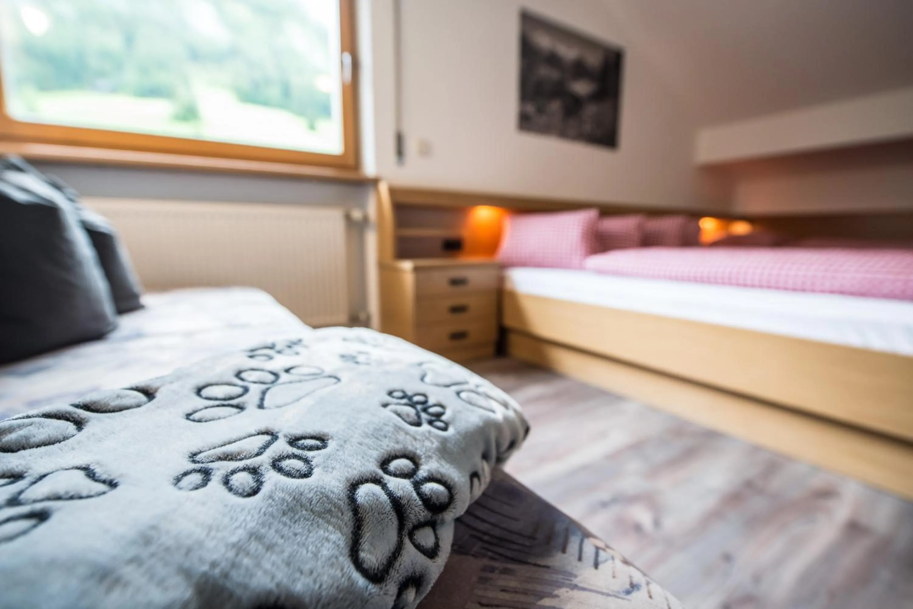 Photo of the whole room, Bed in Hotel Sonja