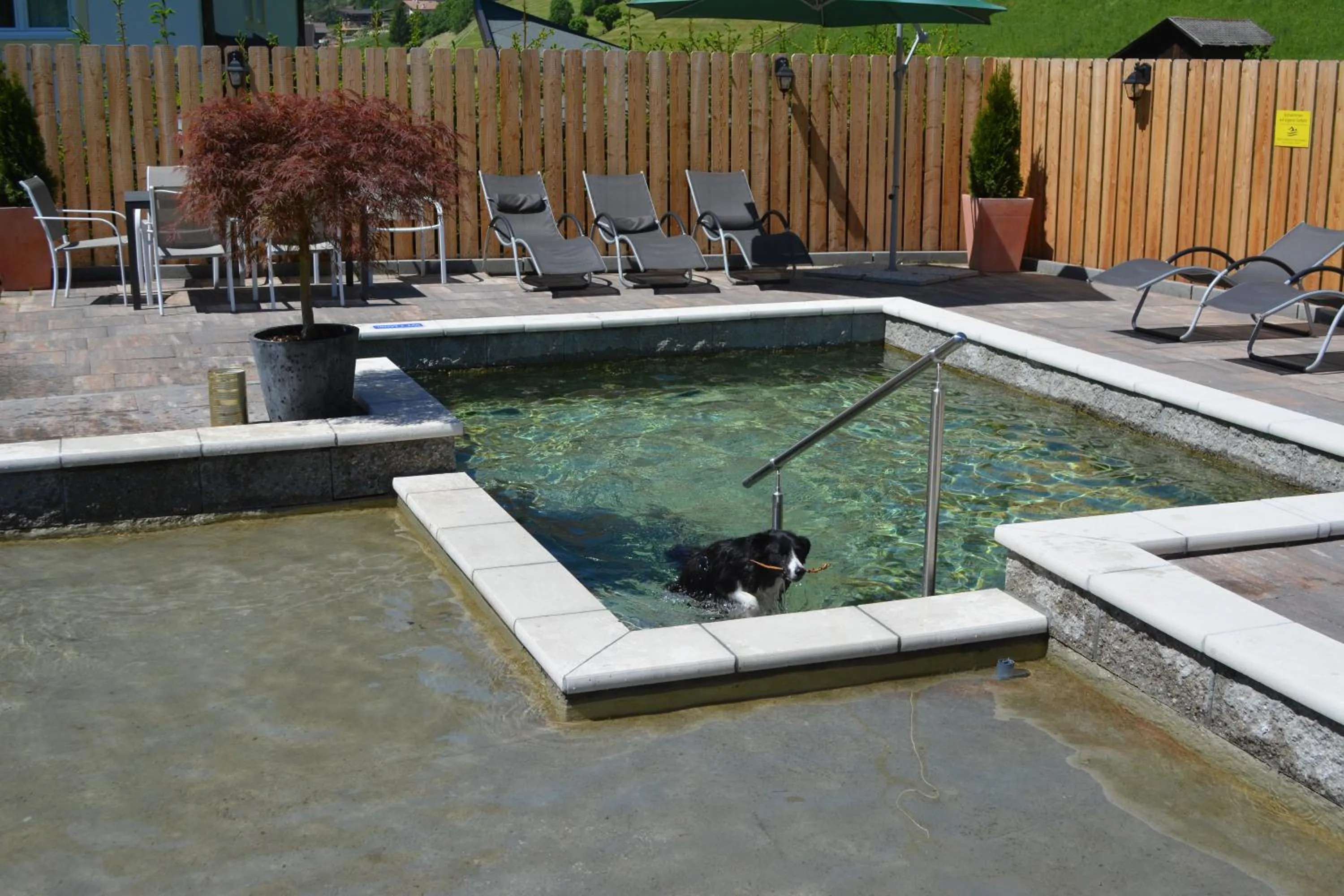 Garden in Hotel Sonja