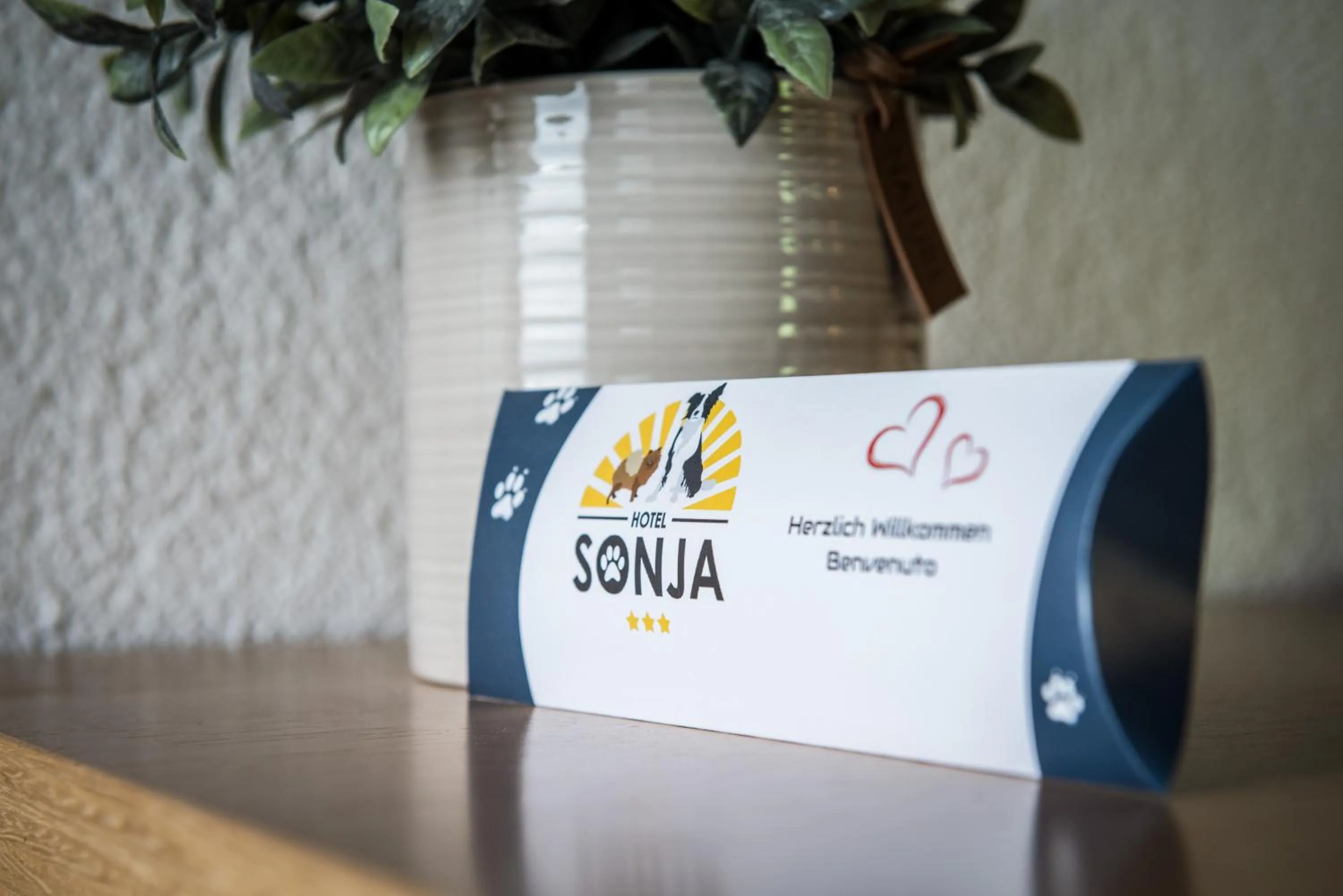 Photo of the whole room in Hotel Sonja