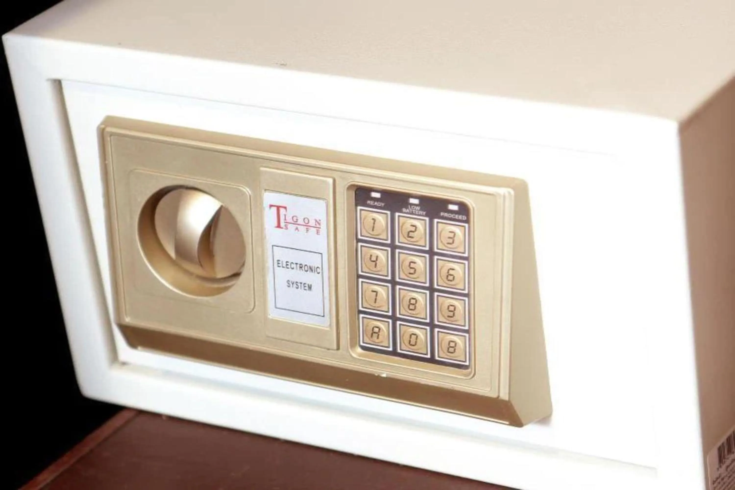 safe in Choophorn House