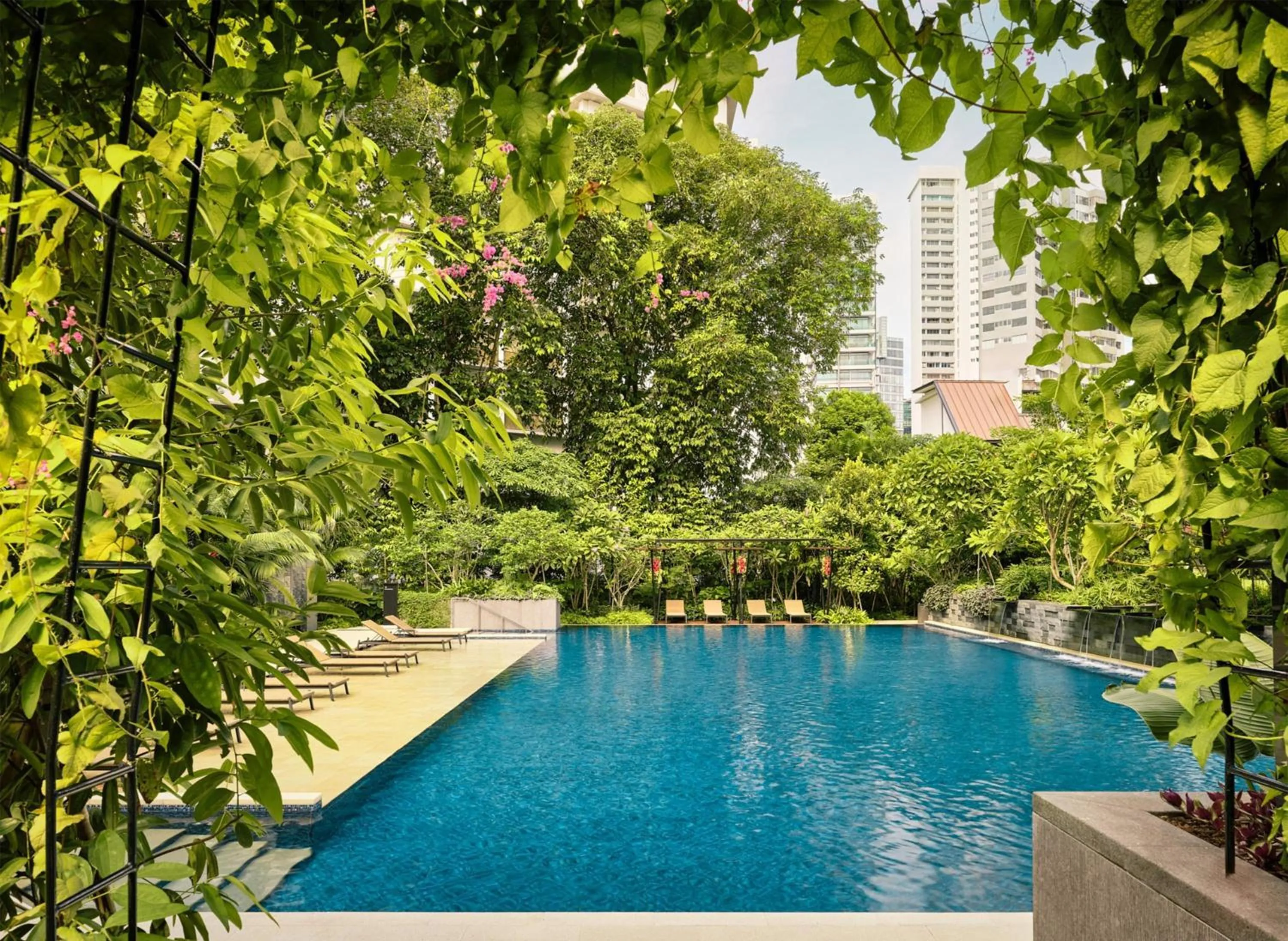 Swimming pool in Grand Hyatt Singapore
