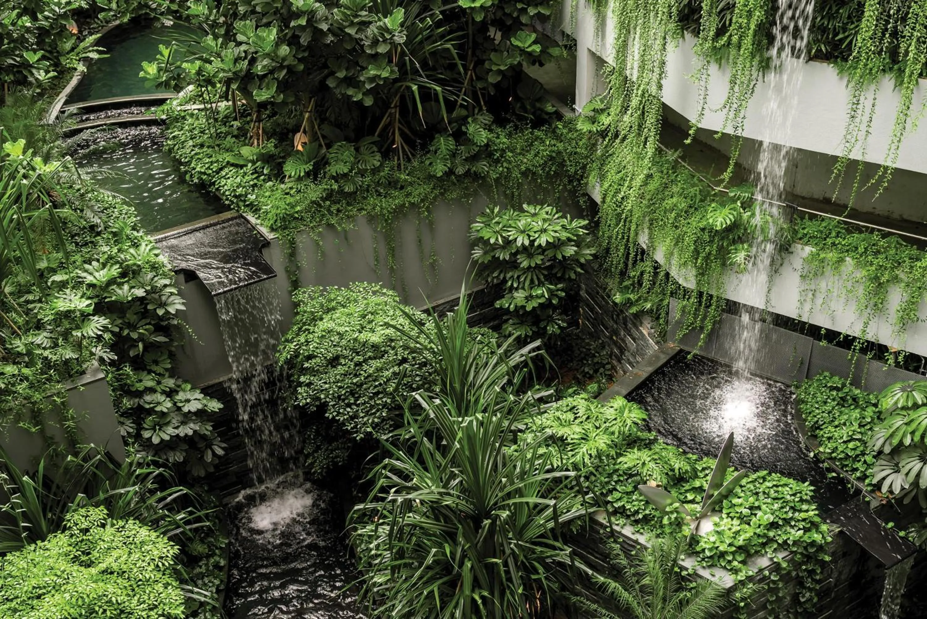 Fitness centre/facilities in Grand Hyatt Singapore