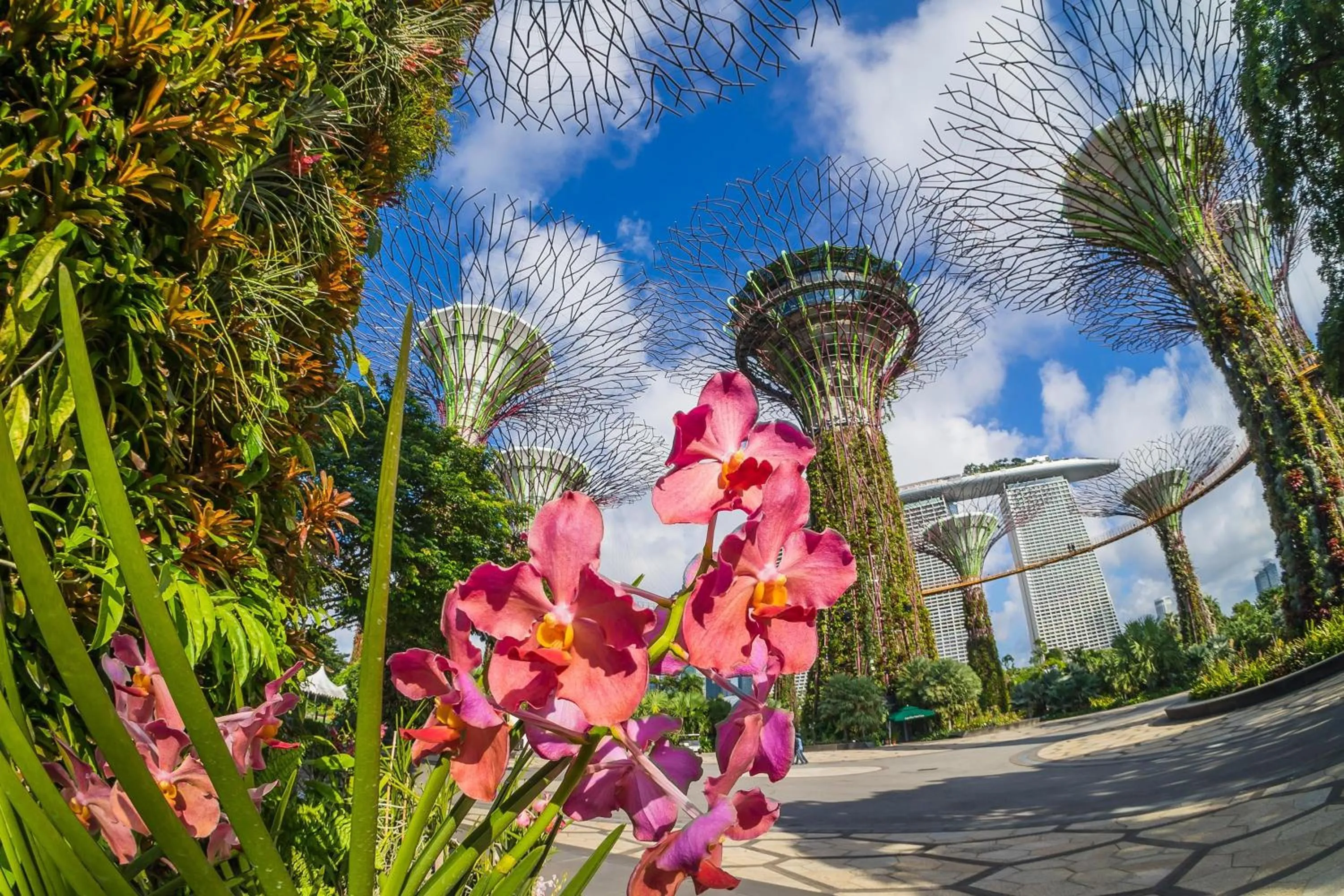 Property building in Grand Hyatt Singapore