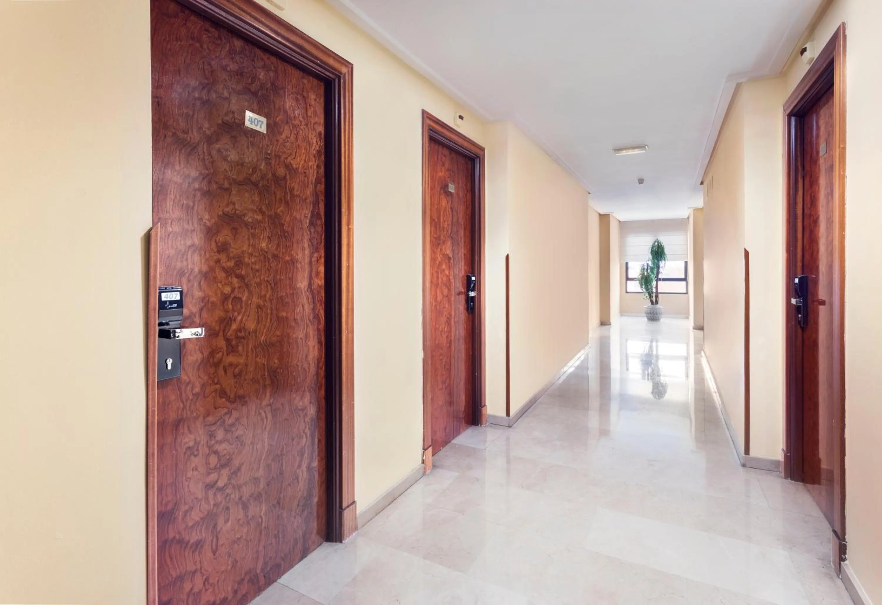 Property building in Exe Doña Carlota