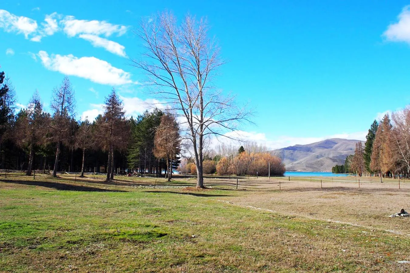 On site in Lake Ruataniwha Holiday Park