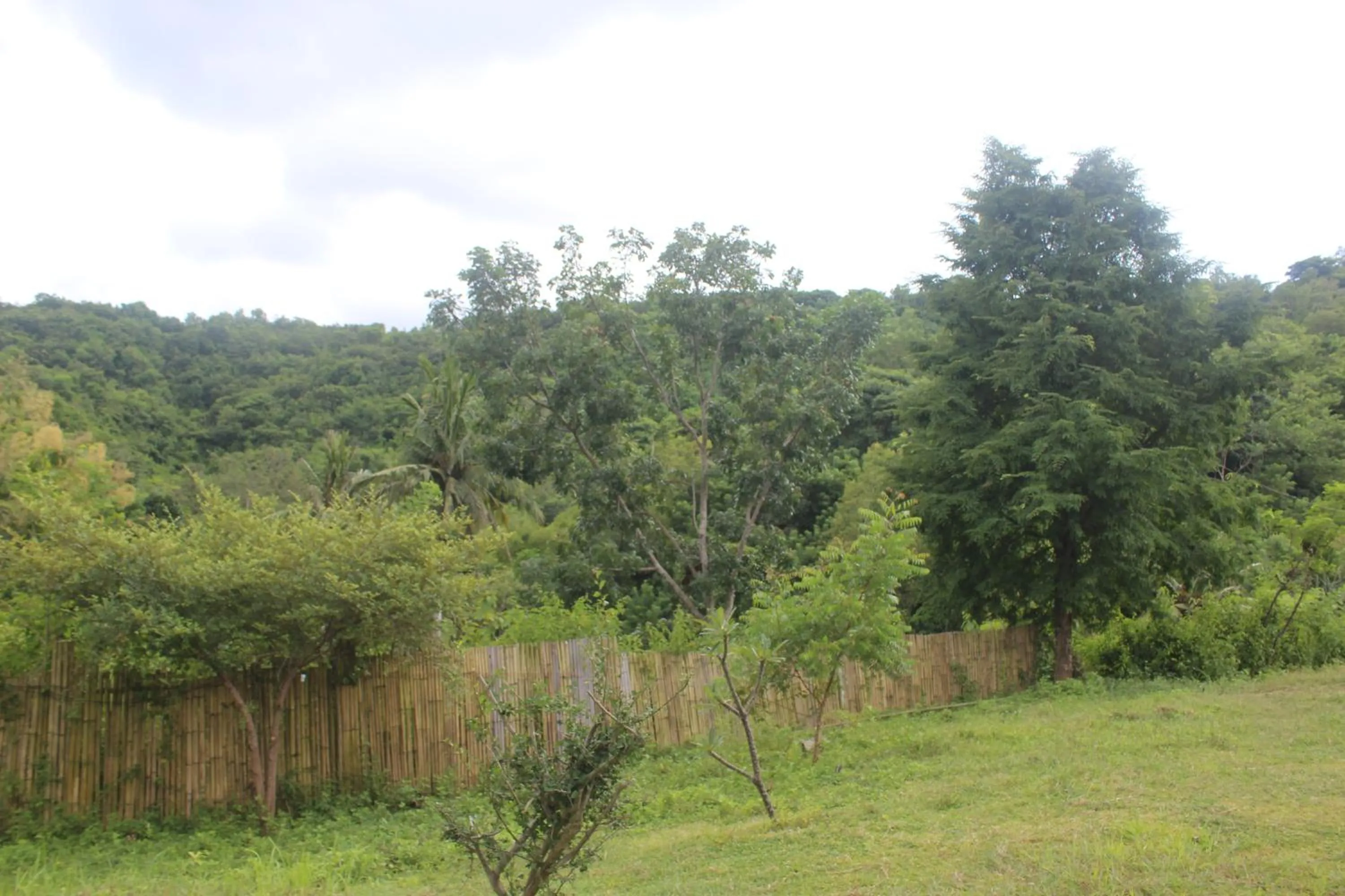 Village Corner Homestay