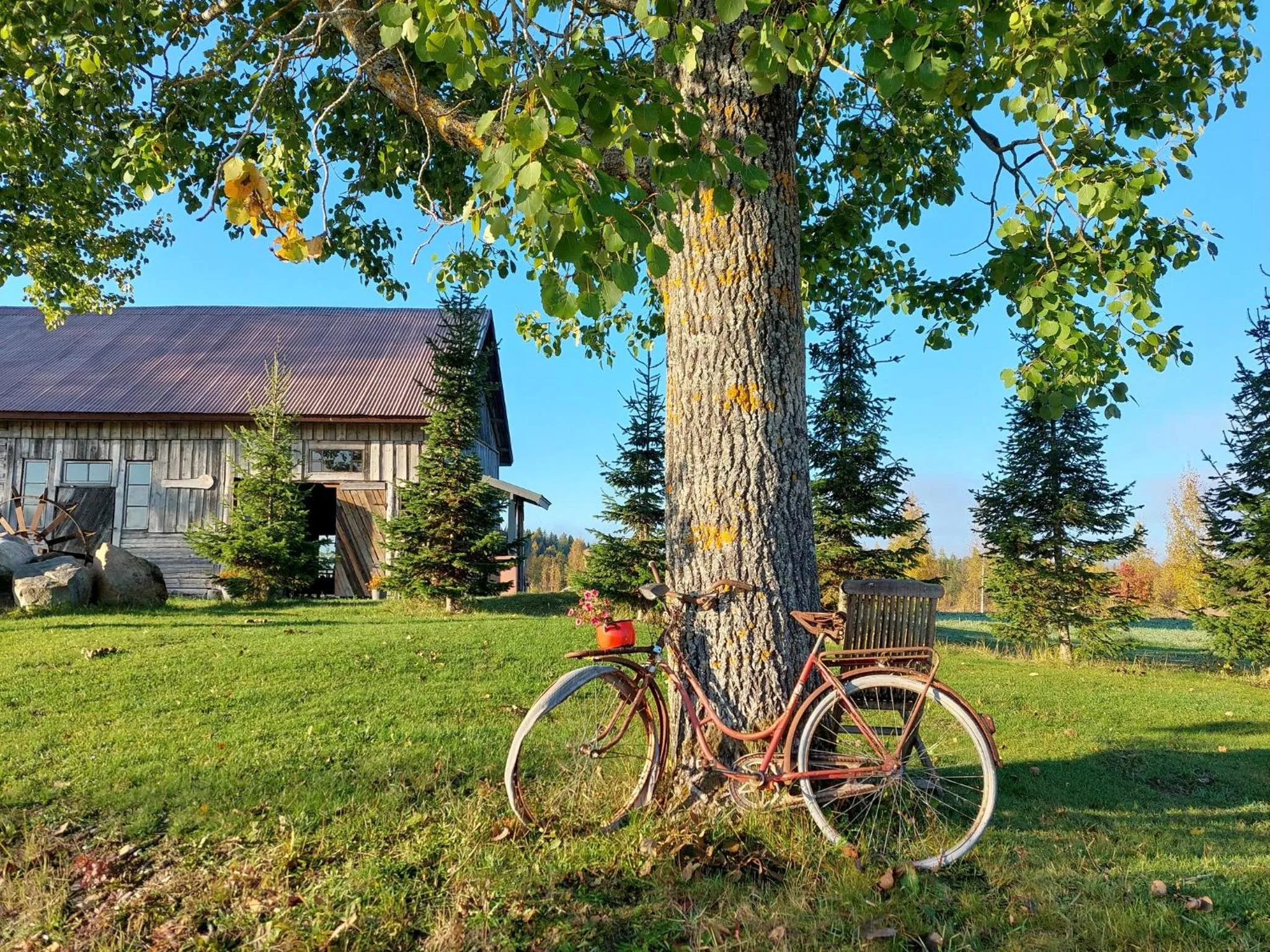 Summer in Original Sokos Hotel Koljonvirta