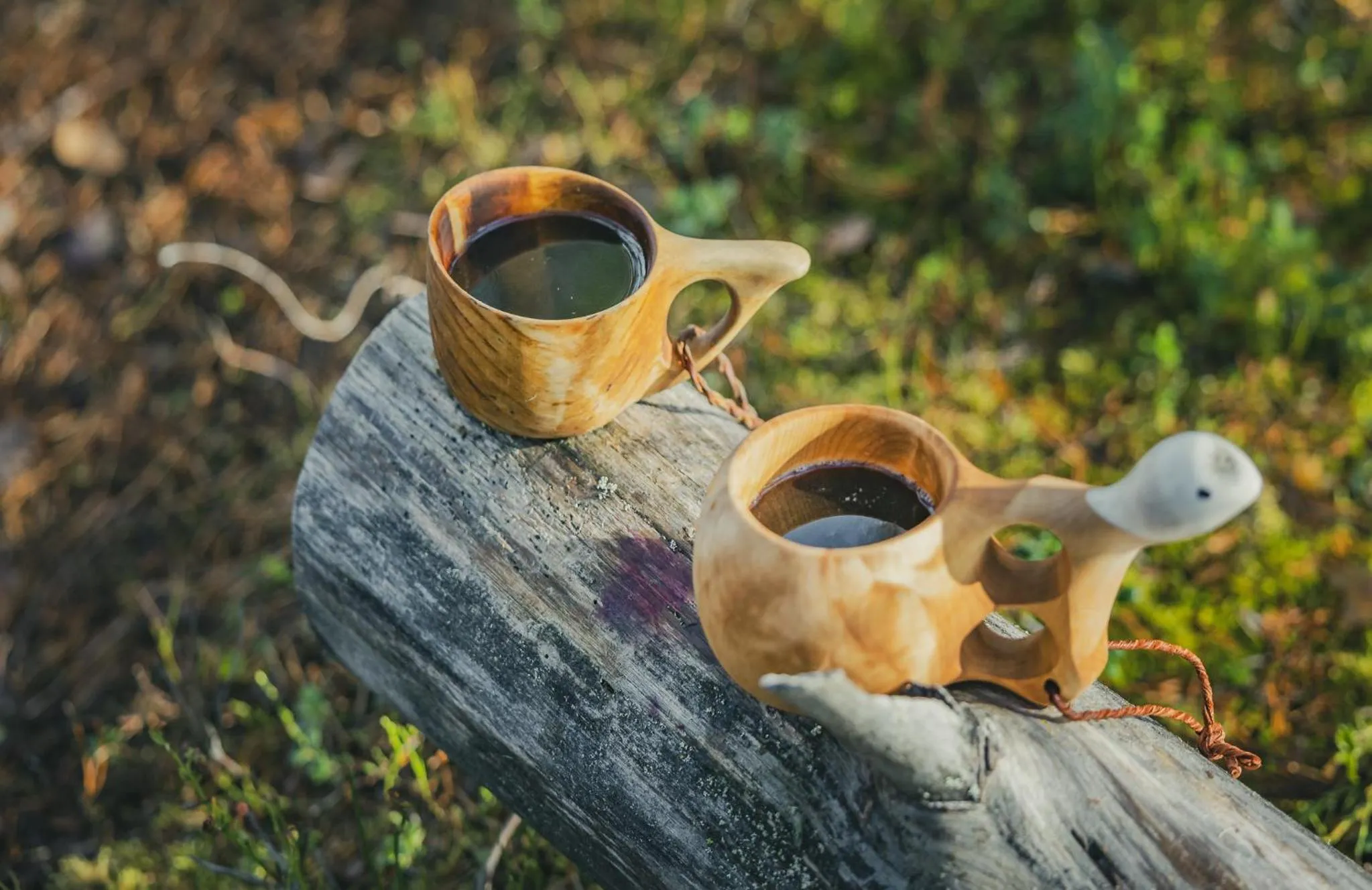 Natural landscape in Original Sokos Hotel Koljonvirta