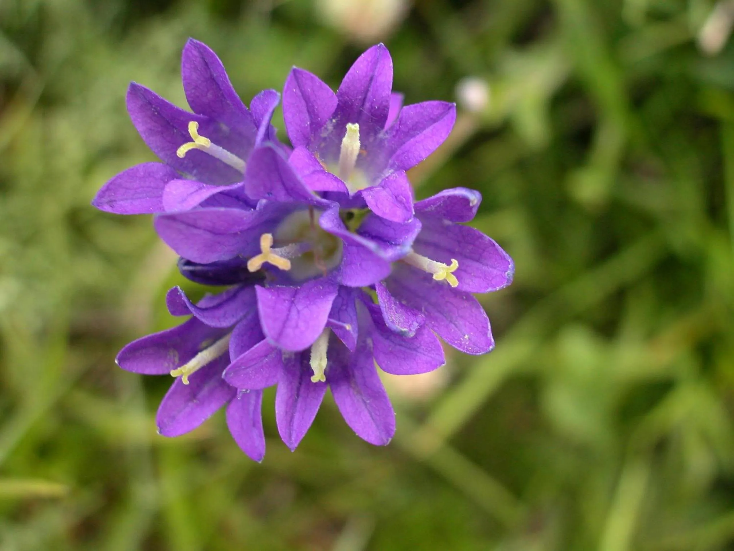 Bourazani Wild Life Resort