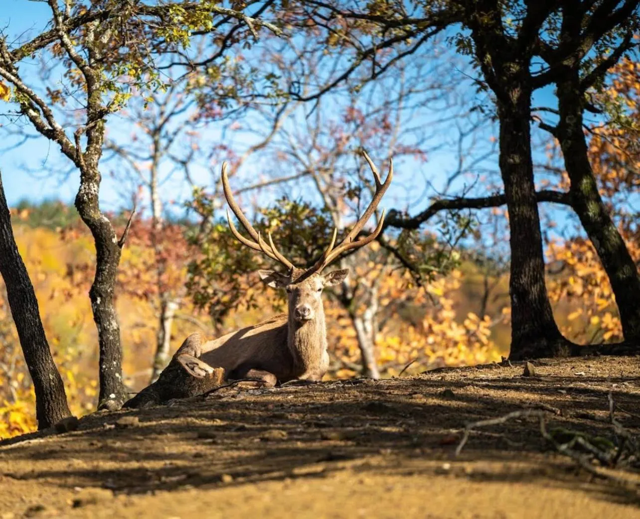 Bourazani Wild Life Resort