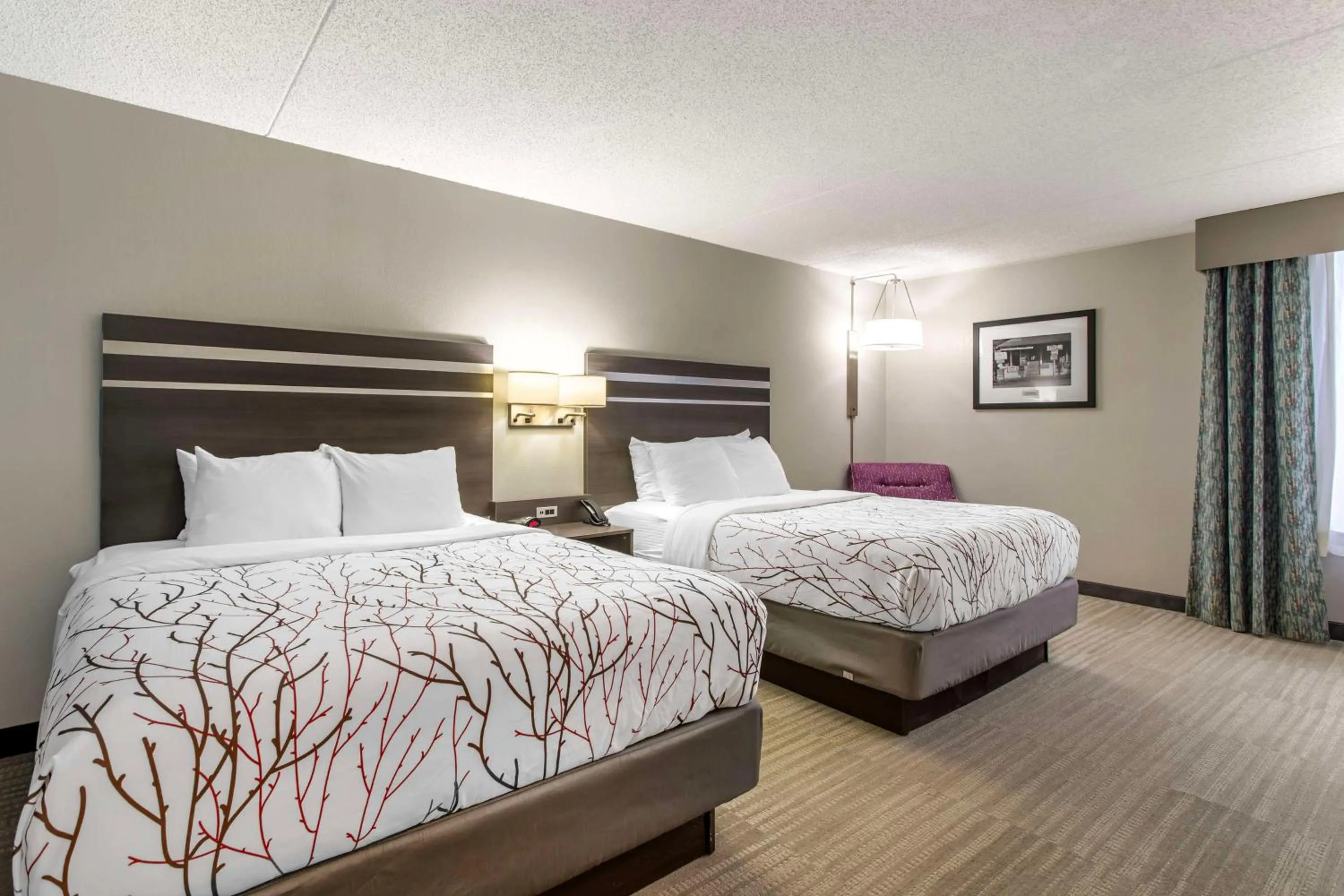 Bedroom, Bed in Best Western Plus Knoxville Cedar Bluff
