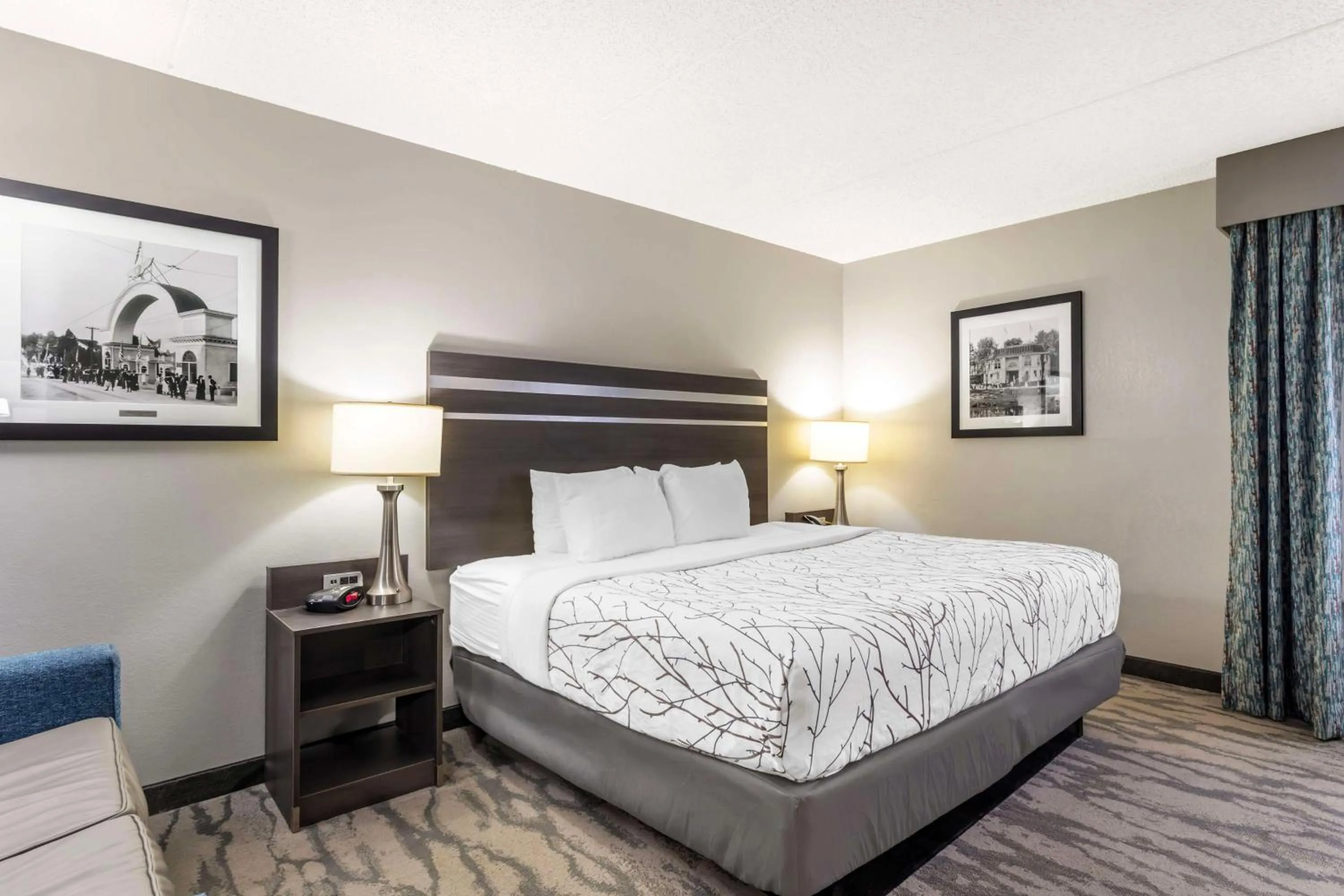 Bedroom, Bed in Best Western Plus Knoxville Cedar Bluff