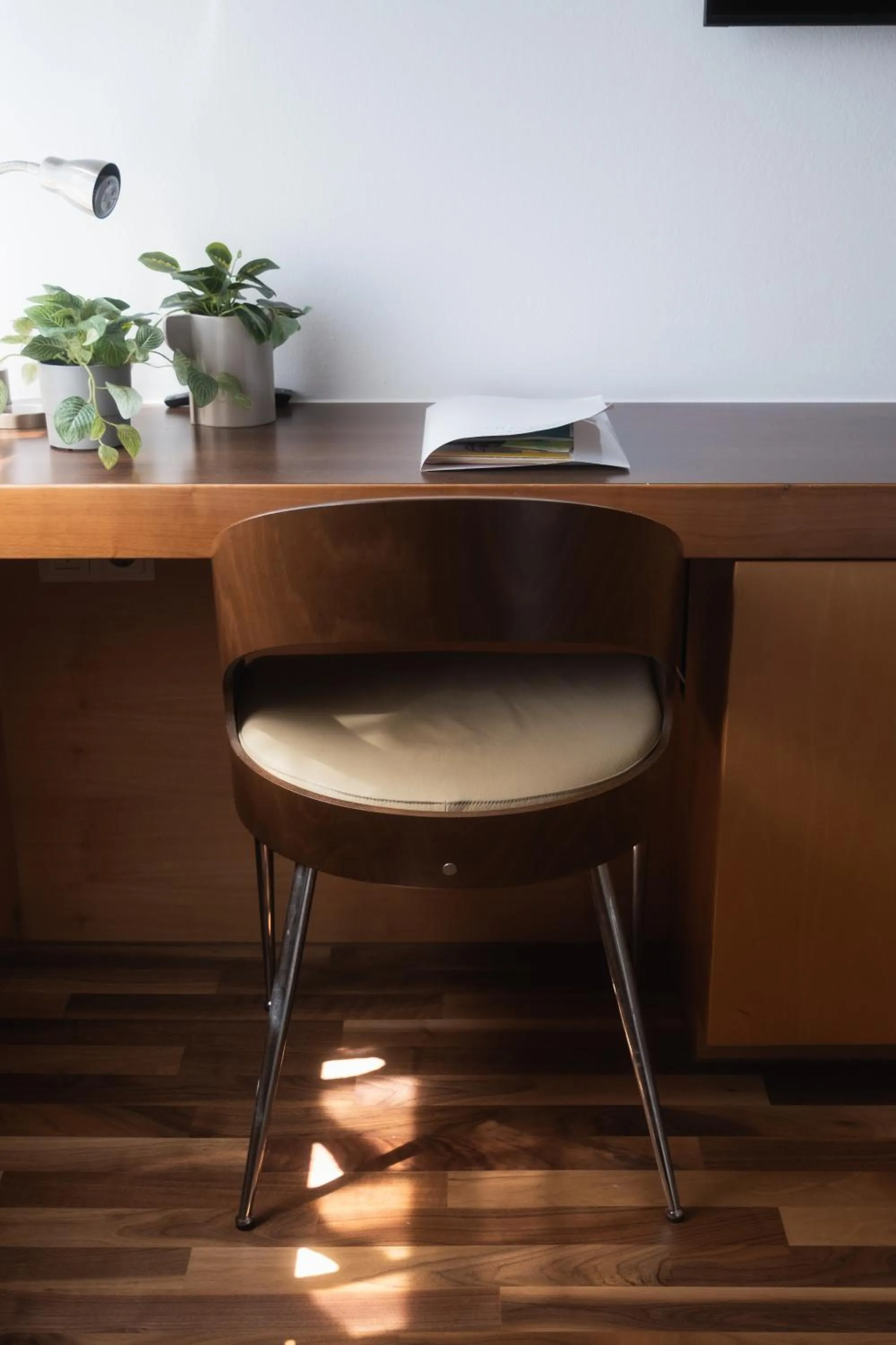 Photo of the whole room in City-Hotel