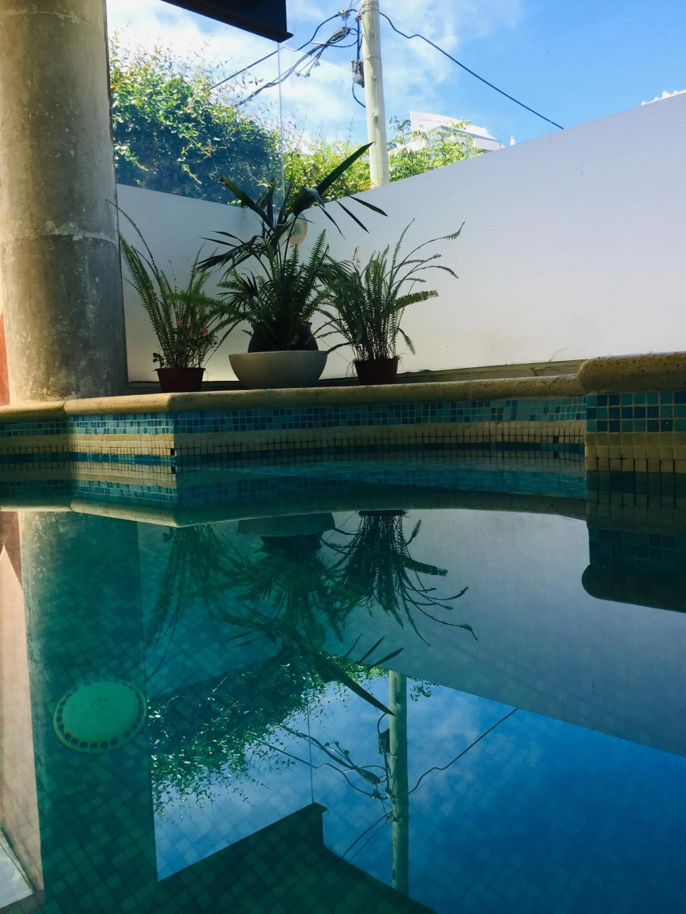 Swimming pool in San Remo Punta Hotel