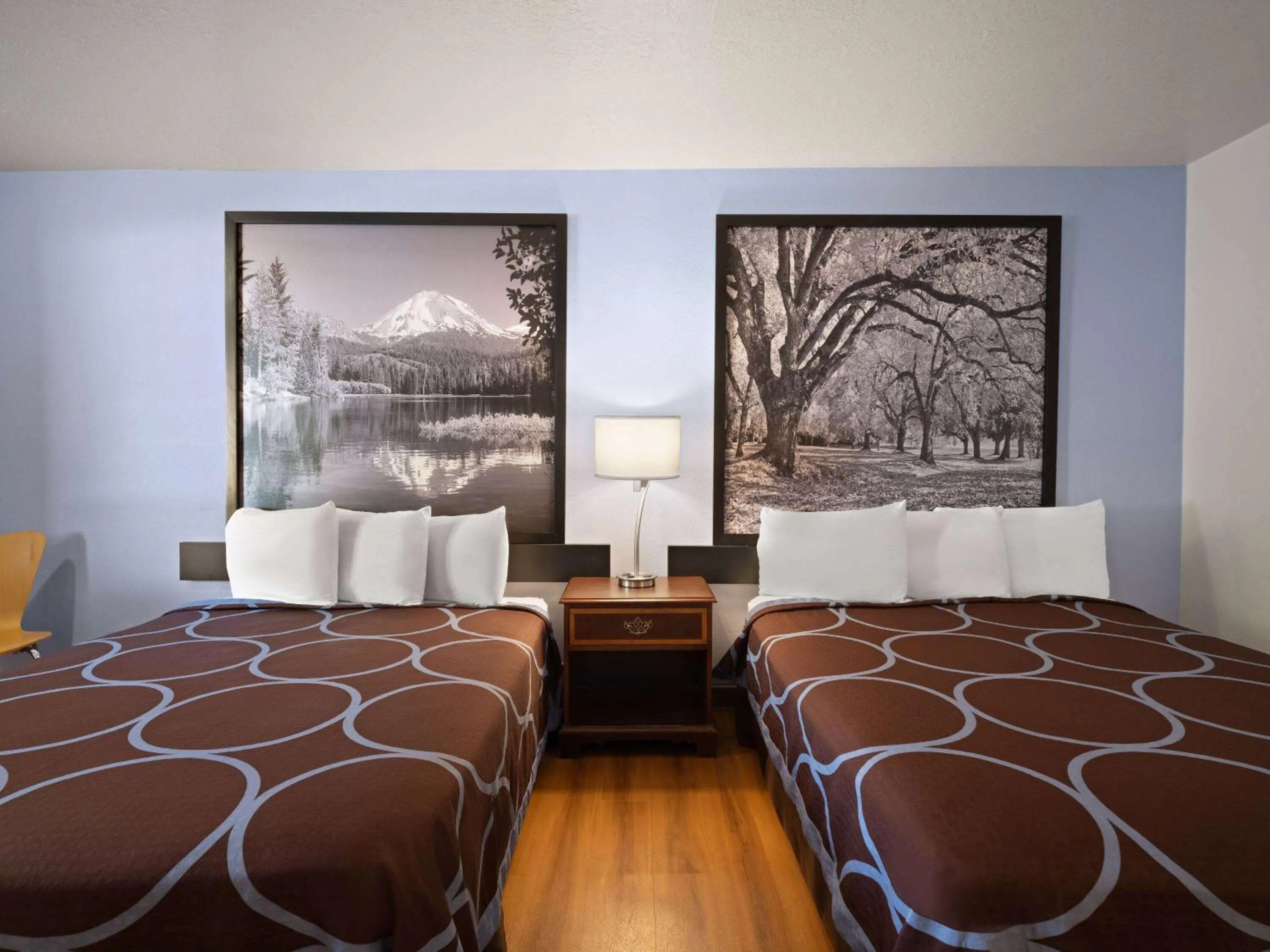 Photo of the whole room, Bed in Super 8 by Wyndham Dunnigan