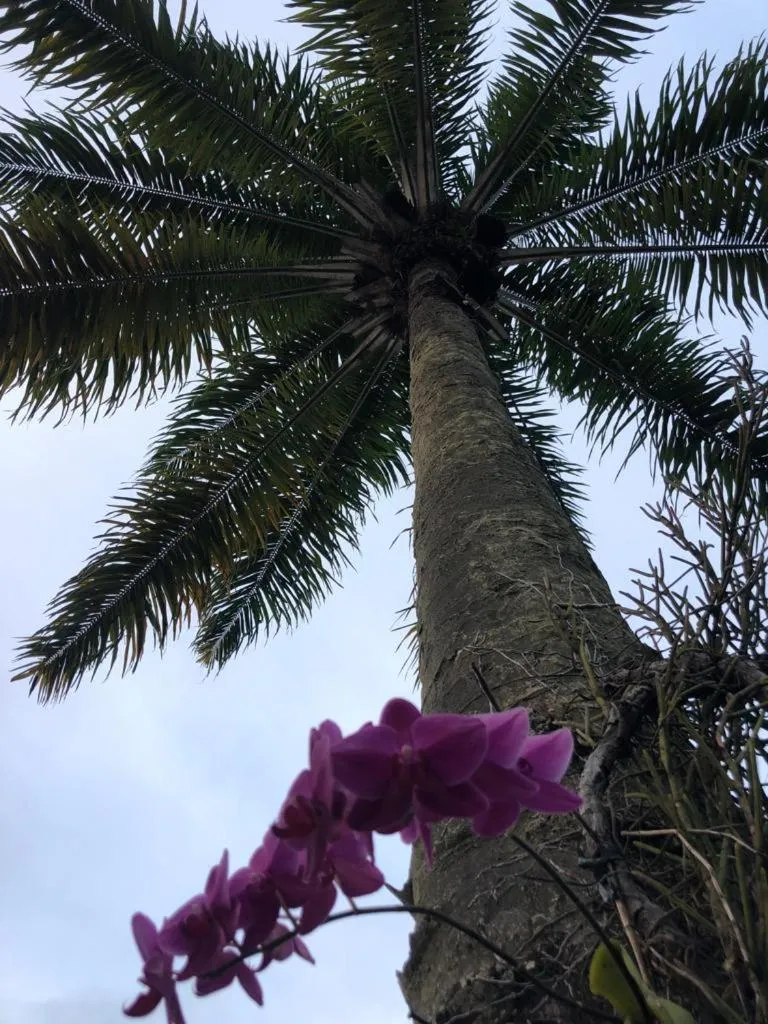 Hotel Morro De São Paulo