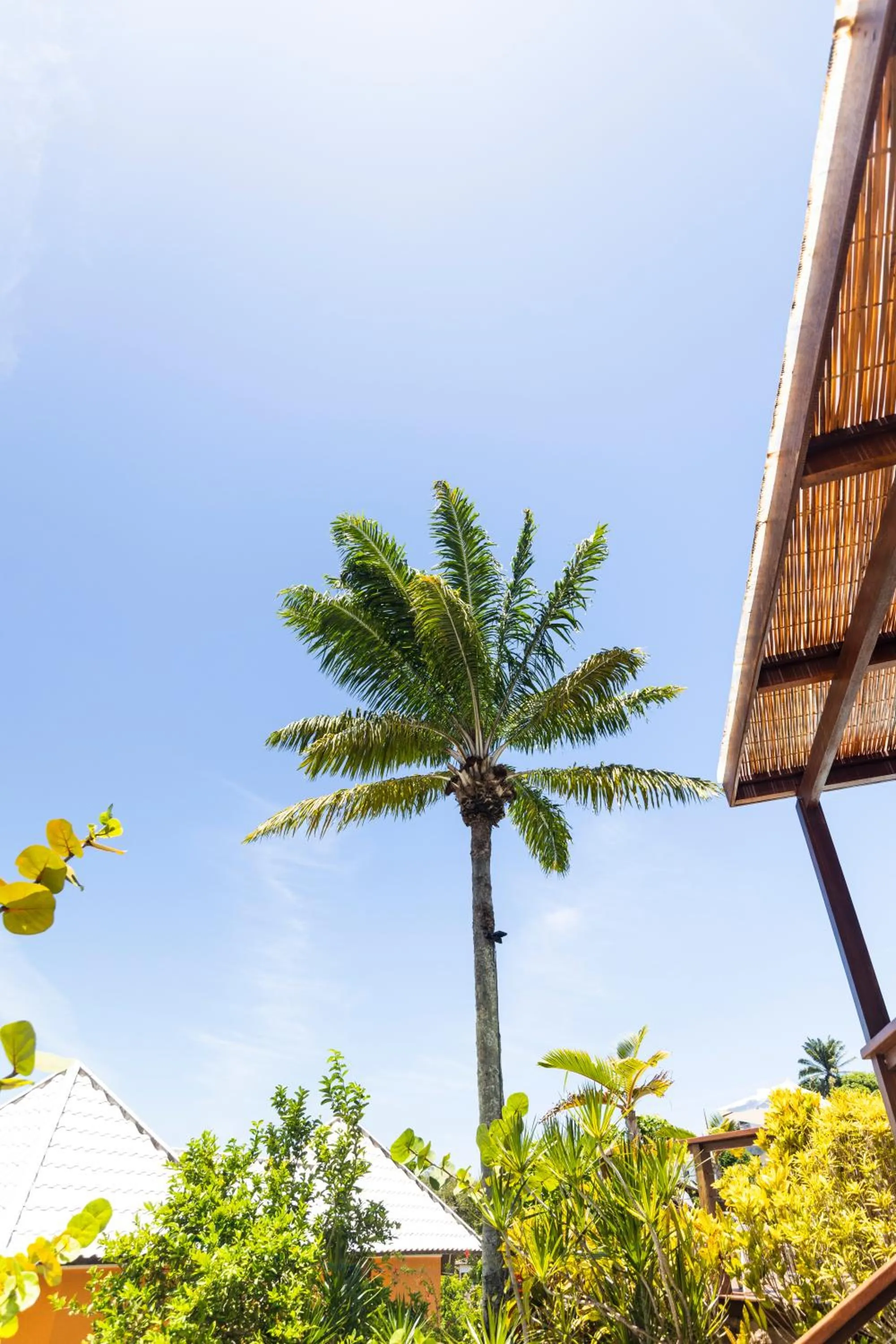 Day in Hotel Morro De São Paulo