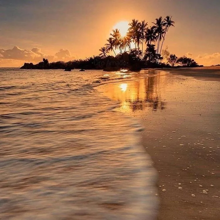 Natural landscape in Hotel Morro De São Paulo