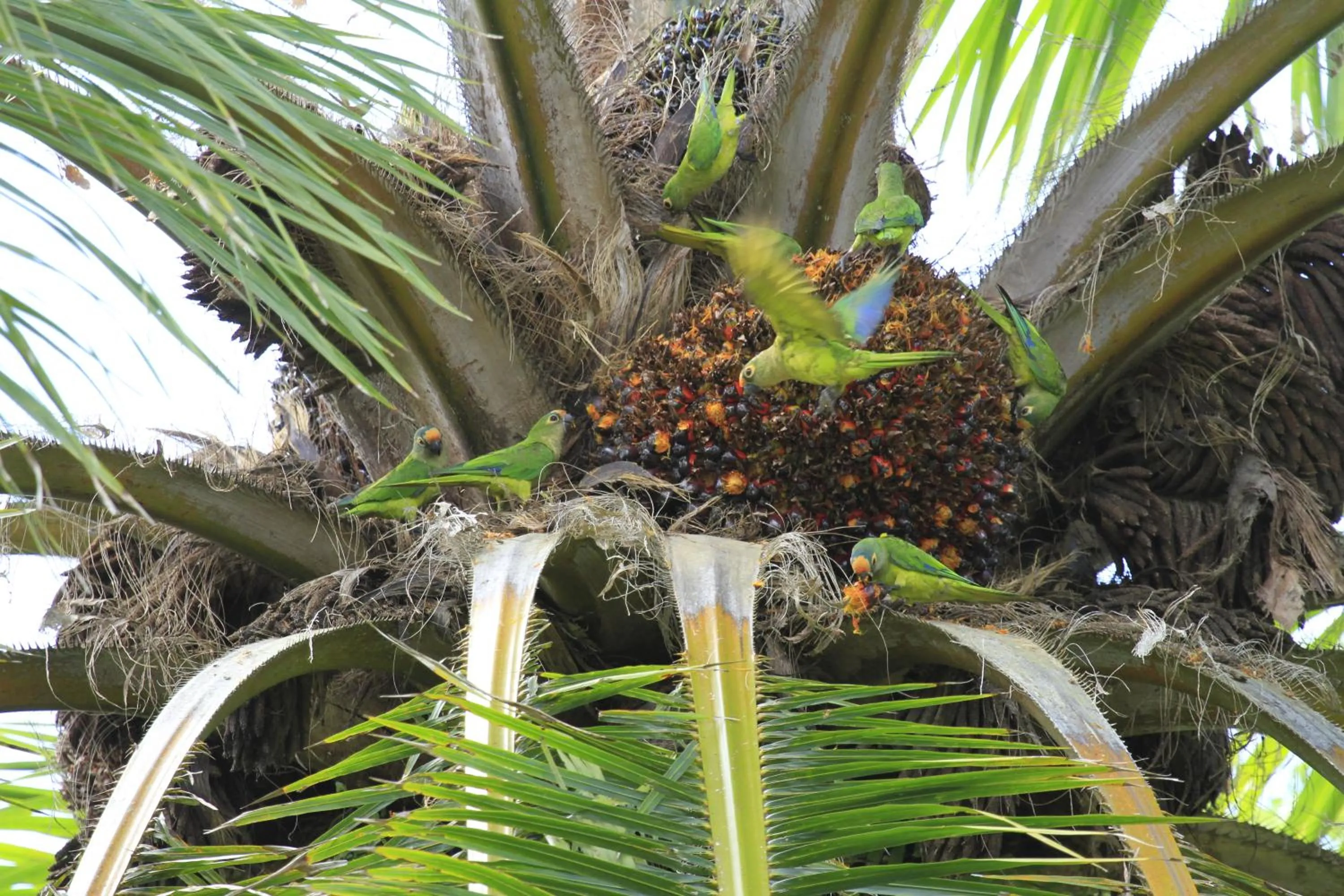 Natural landscape in Hotel Karapitangui