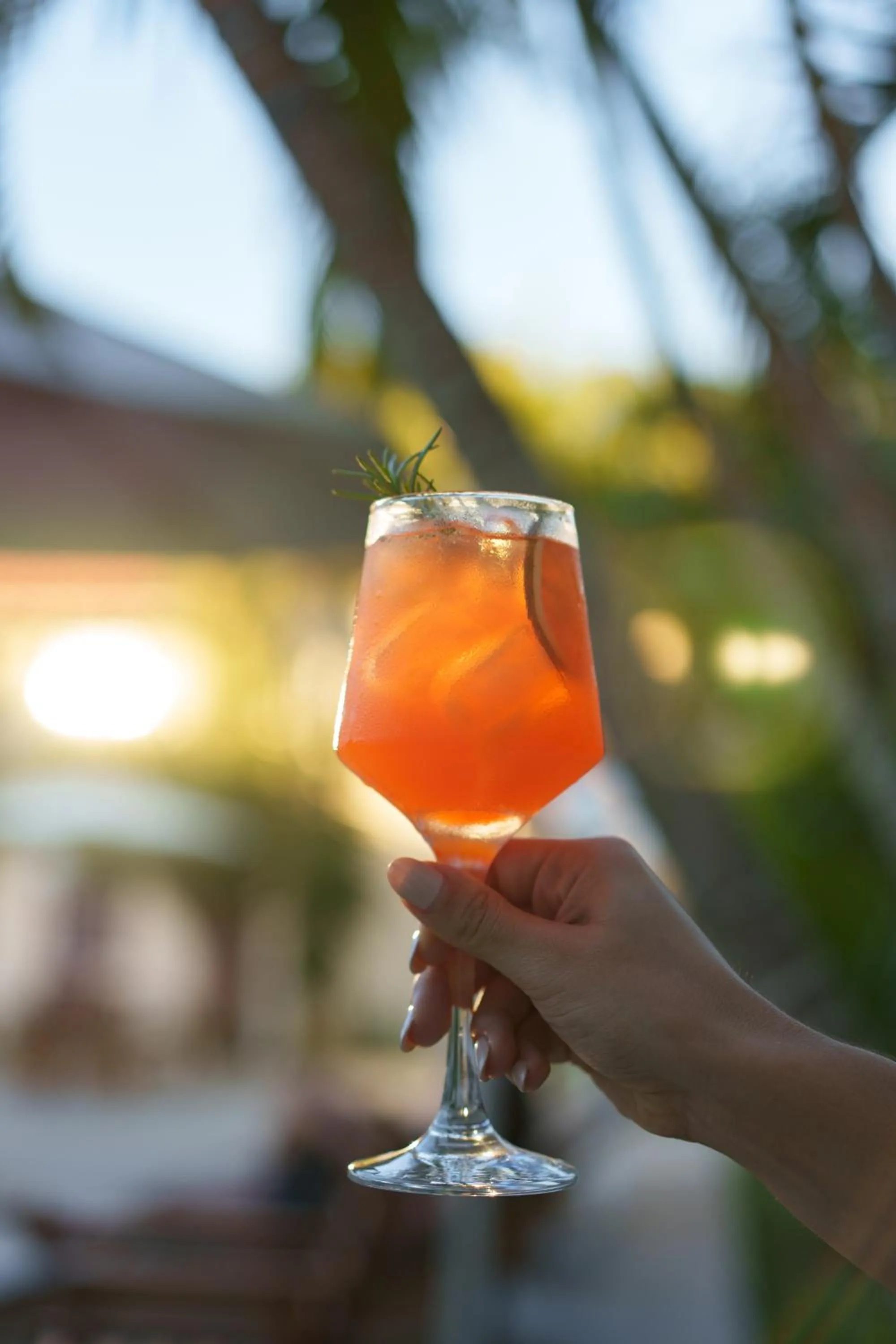 Drinks in Pousada do Timoneiro