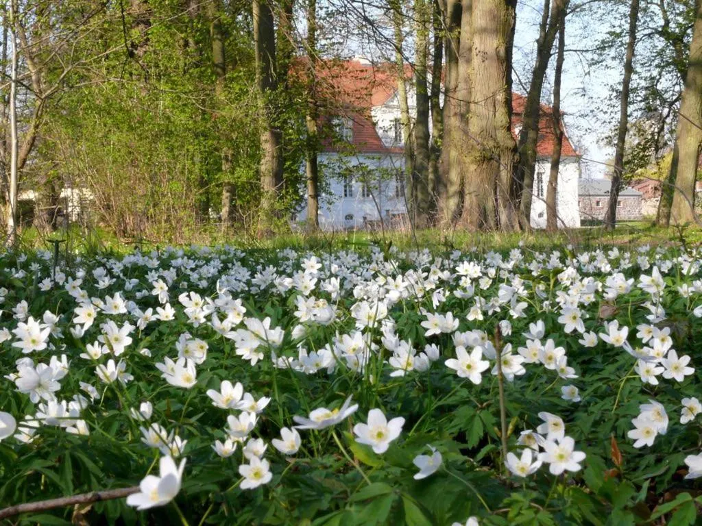 Spring in Jagdschloss Kotelow