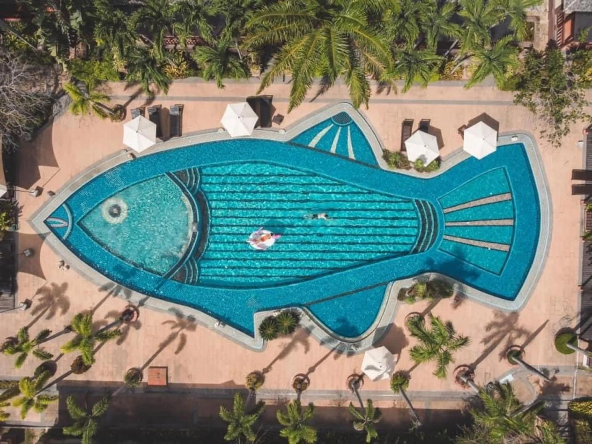 Swimming pool in Botany Beach Resort Pattaya