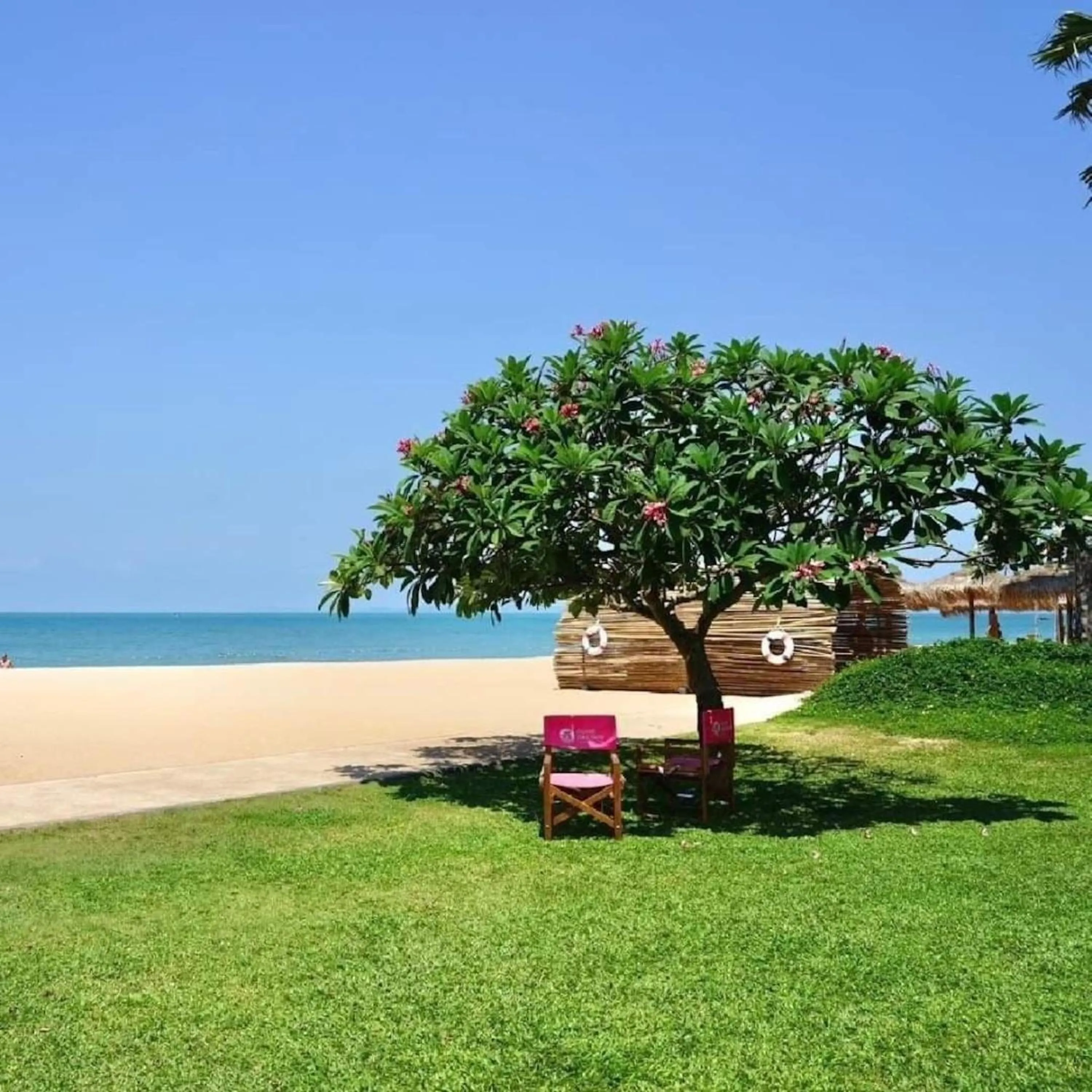 Garden in Botany Beach Resort Pattaya