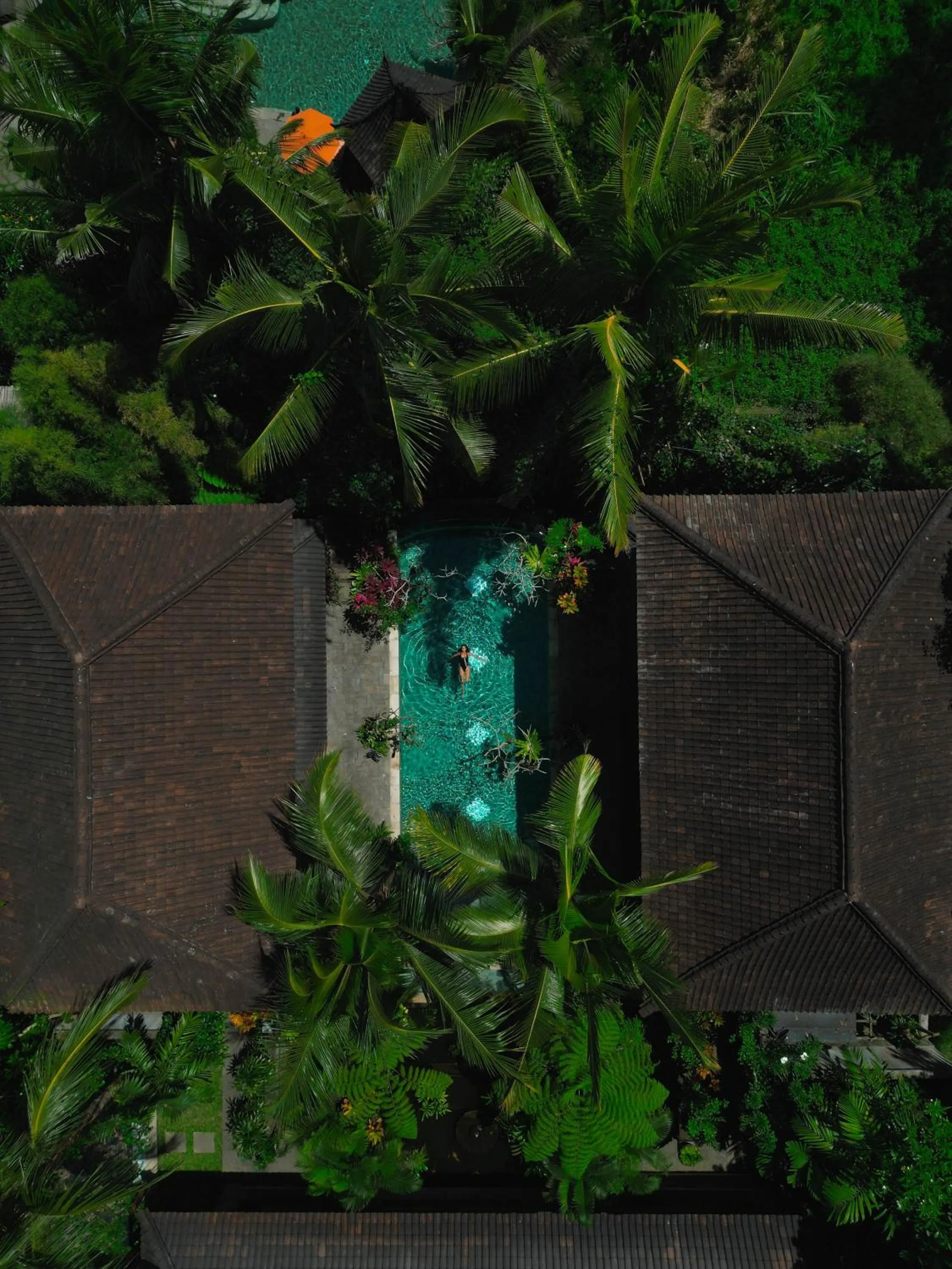 Swimming pool in Korurua Dijiwa Ubud