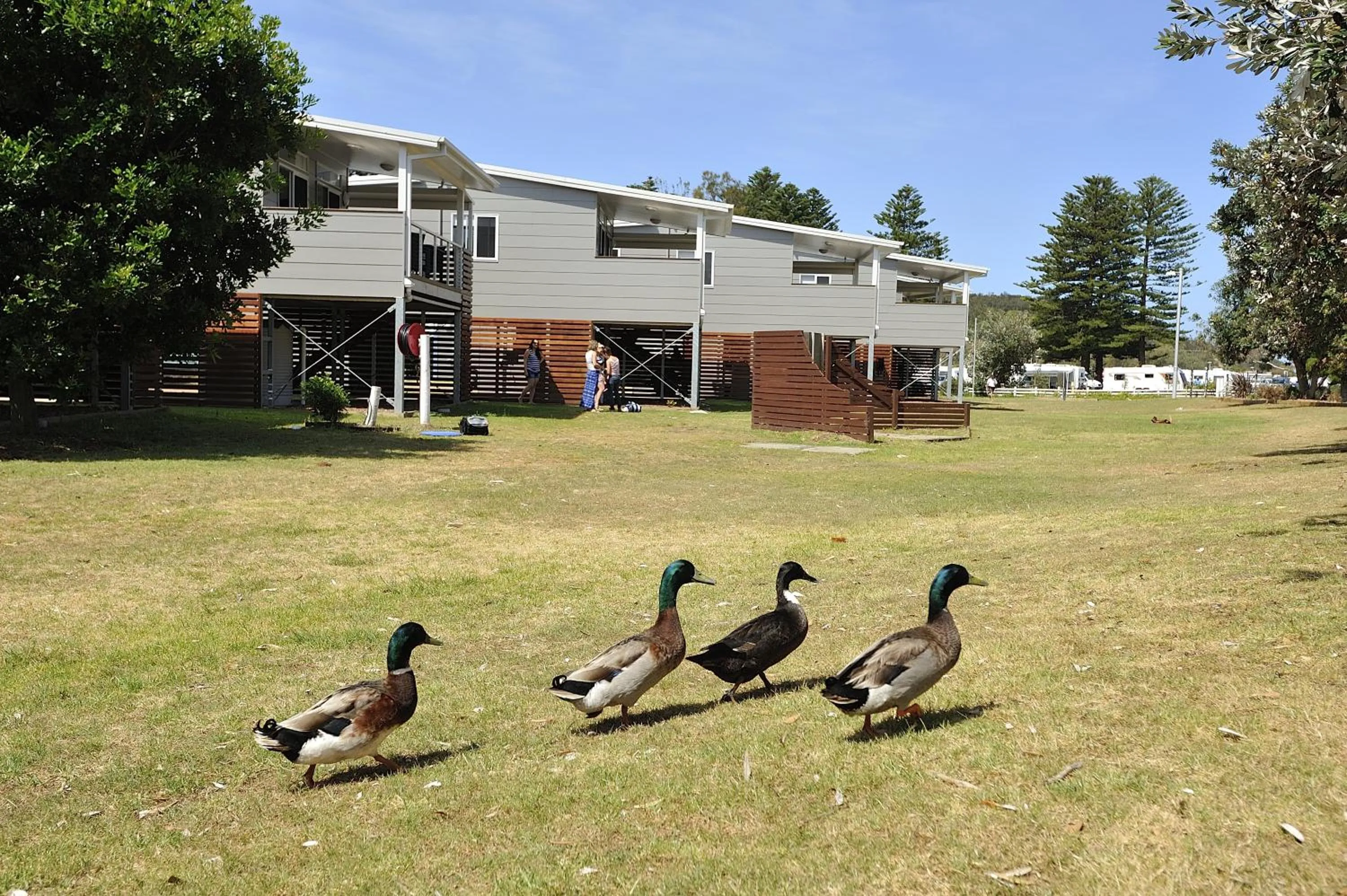 Other in Big4 Sydney Lakeside Holiday Park