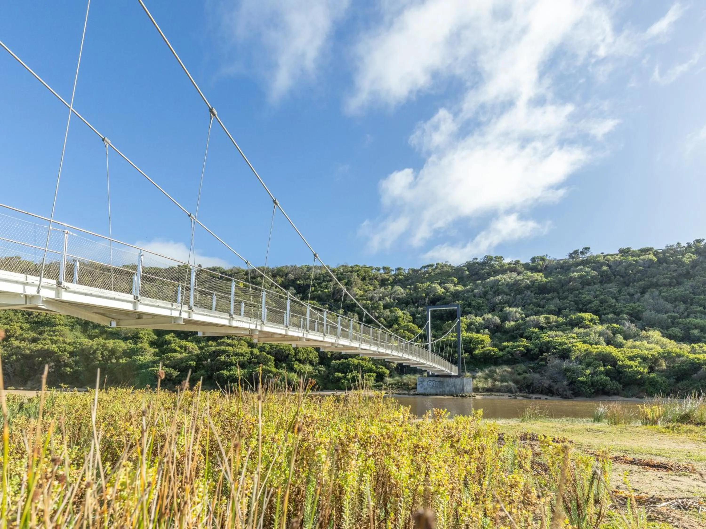 Natural landscape in NRMA Port Campbell Holiday Park