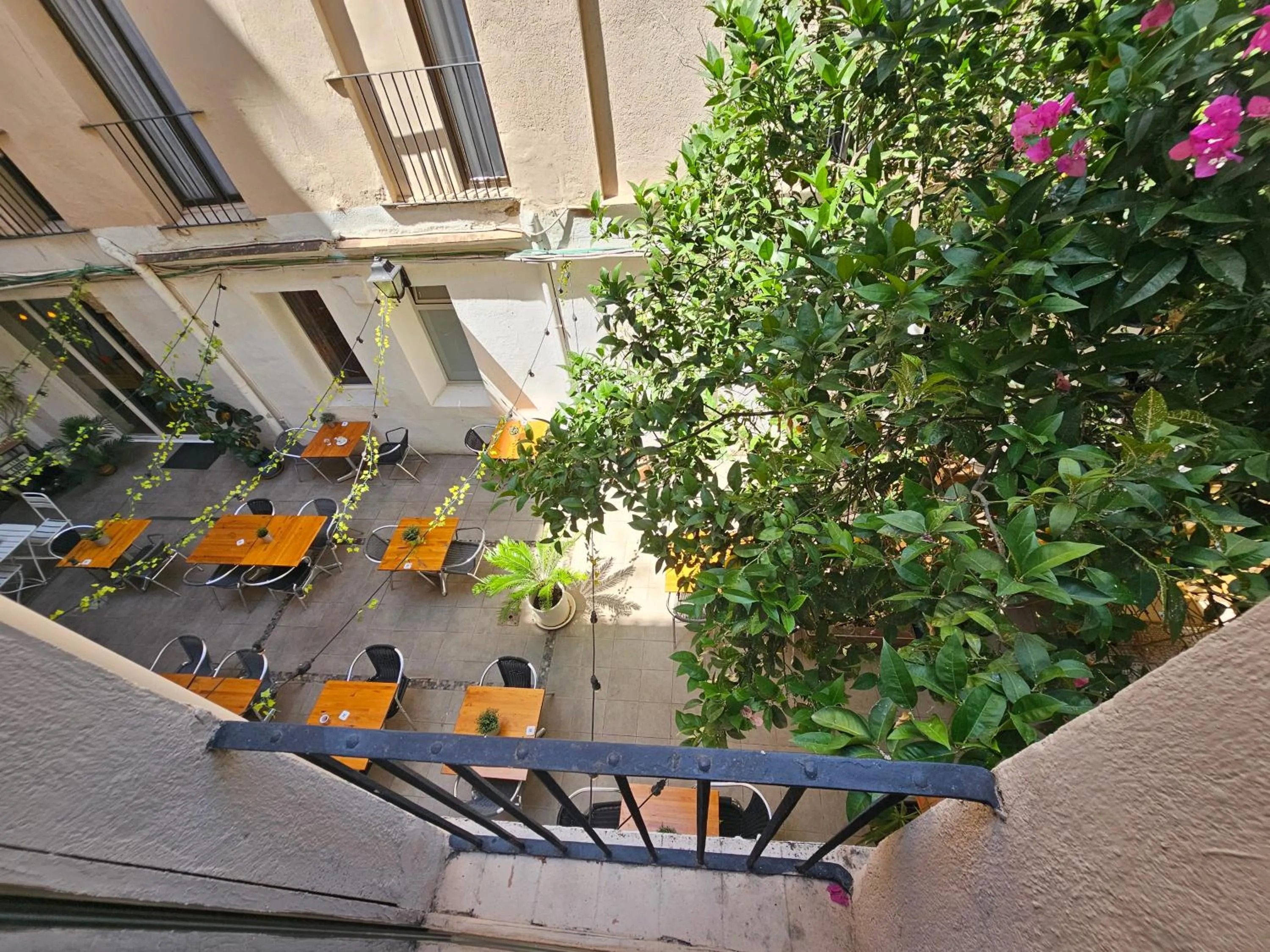 Patio in Hotel Palermo