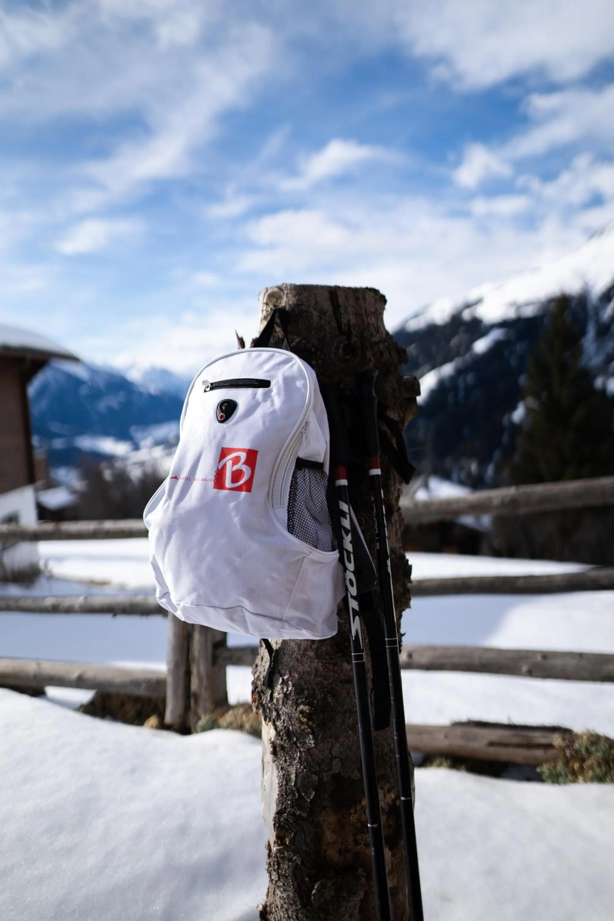 Winter in Hotel Bellwald