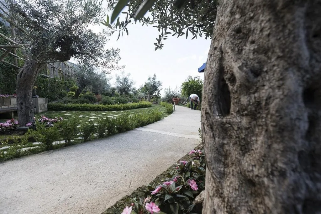 Garden in B&B Fior Tramonti