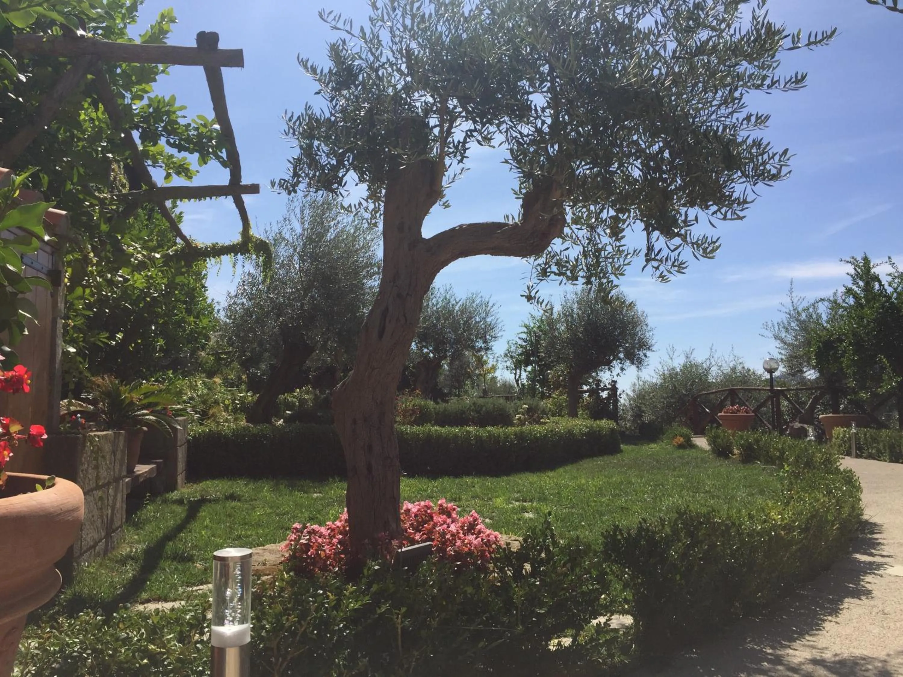 Garden in B&B Fior Tramonti