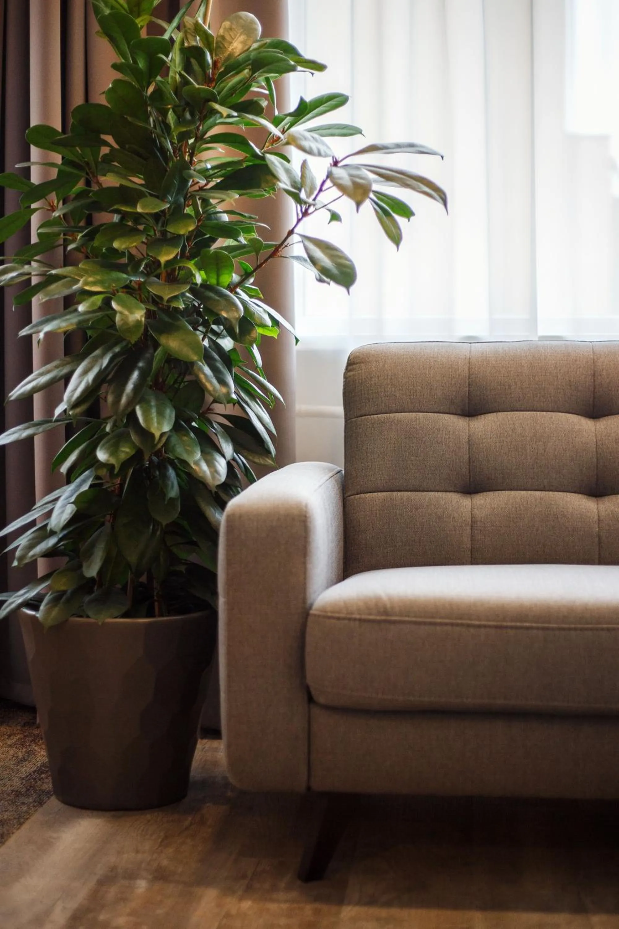 Photo of the whole room in Old Town Trio Apartments