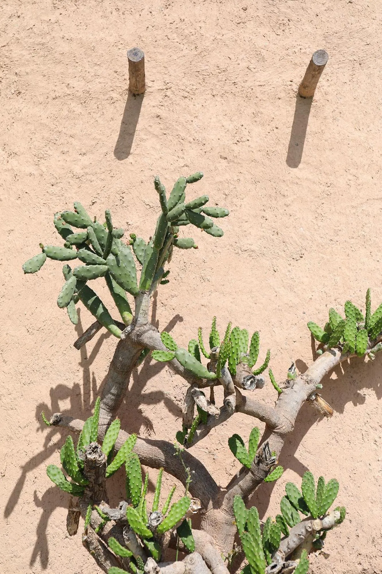 Decorative detail in Le Petit Hôtel du Flouka