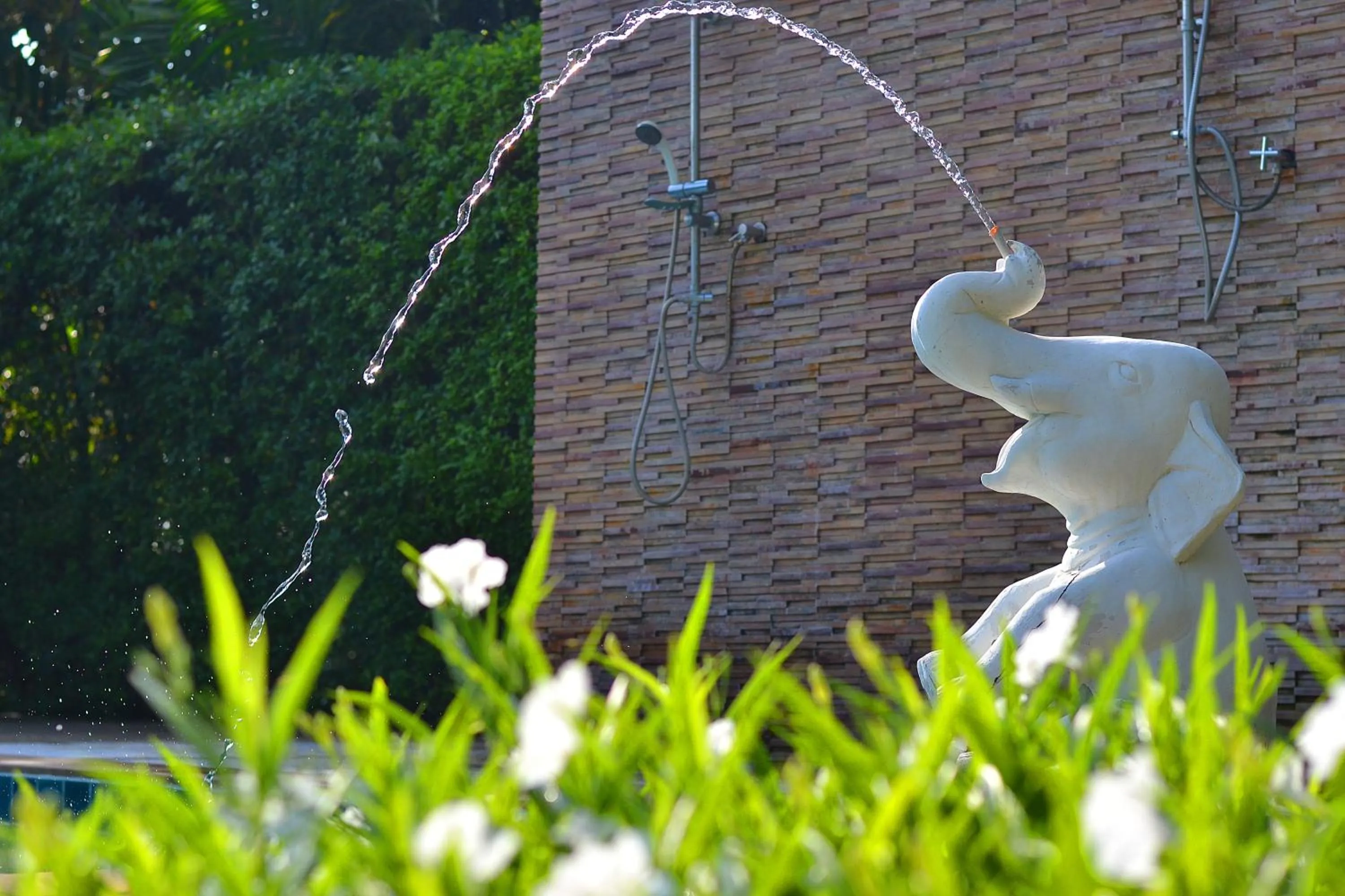 Swimming pool in Thai Thai Sukhothai Resort