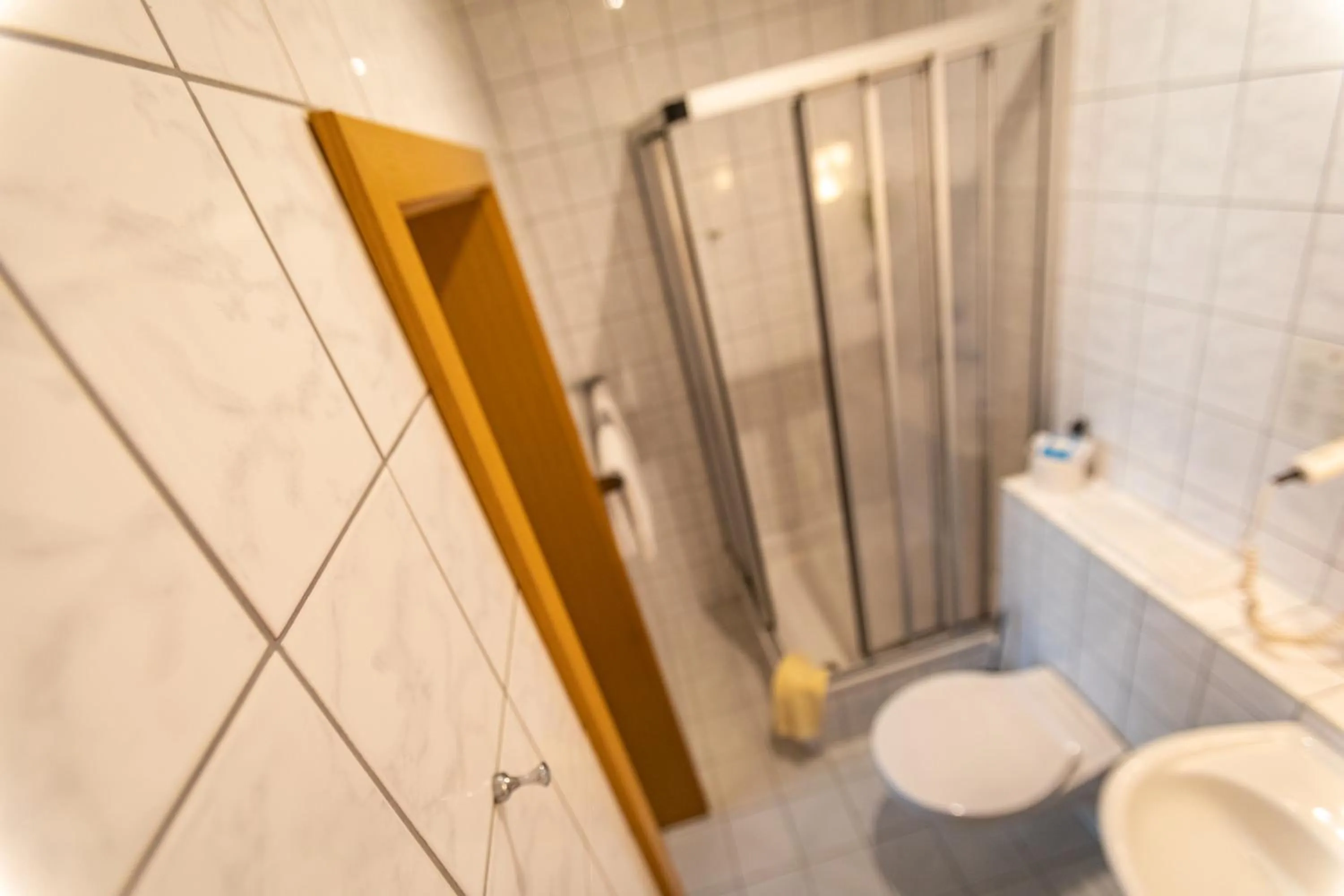 Shower in Parkhotel Pretzsch