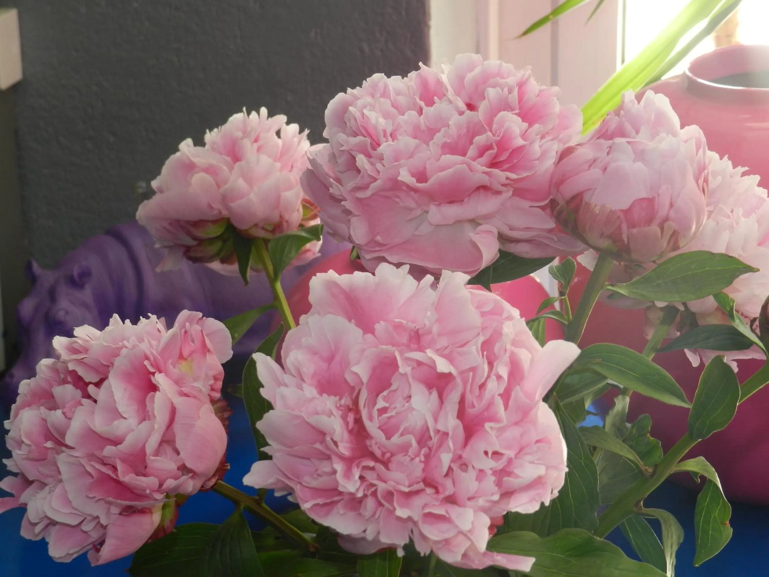 Decorative detail in Hotel L'Orangeraie