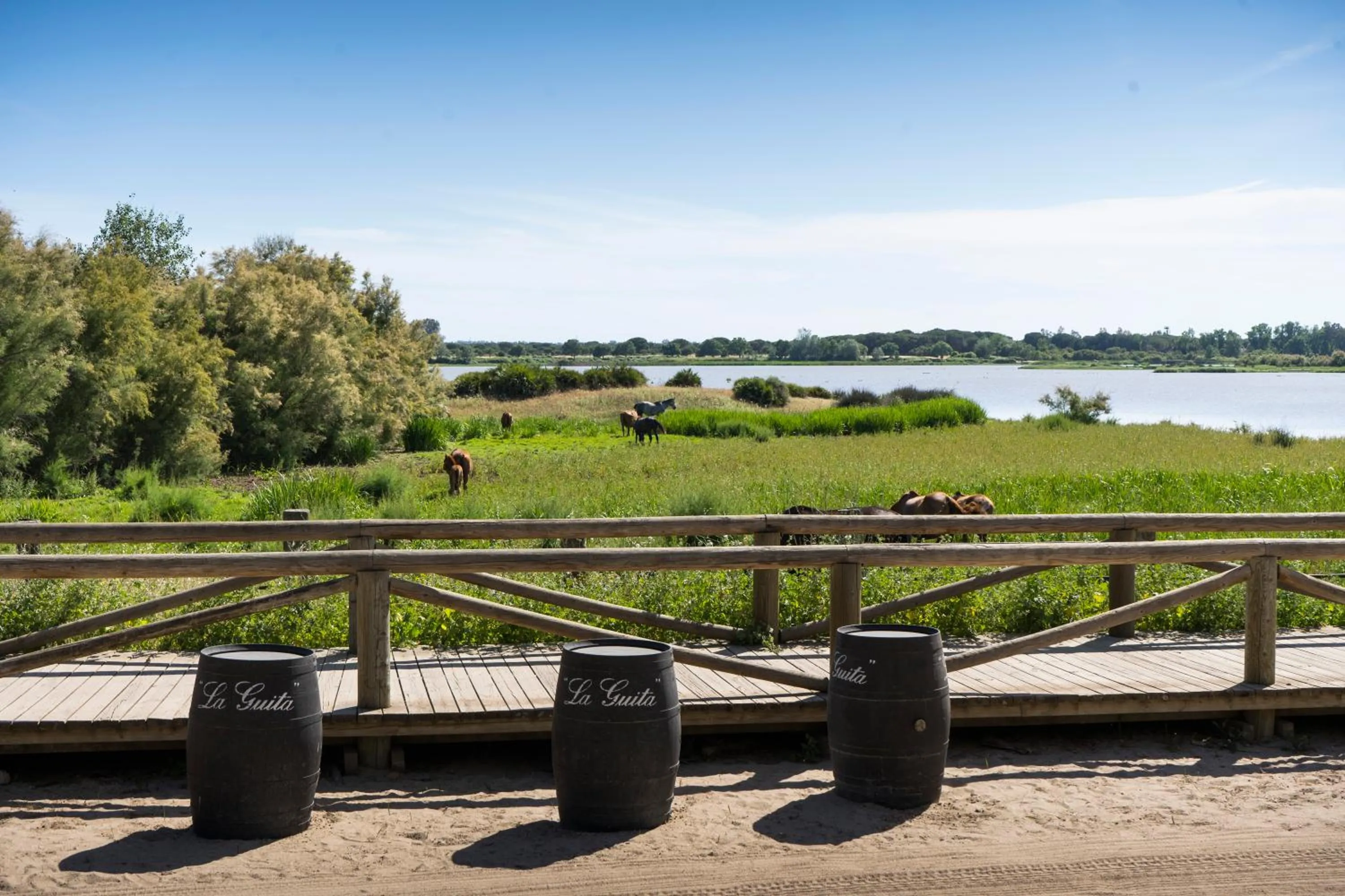 Balcony/Terrace in Hotel La Malvasía