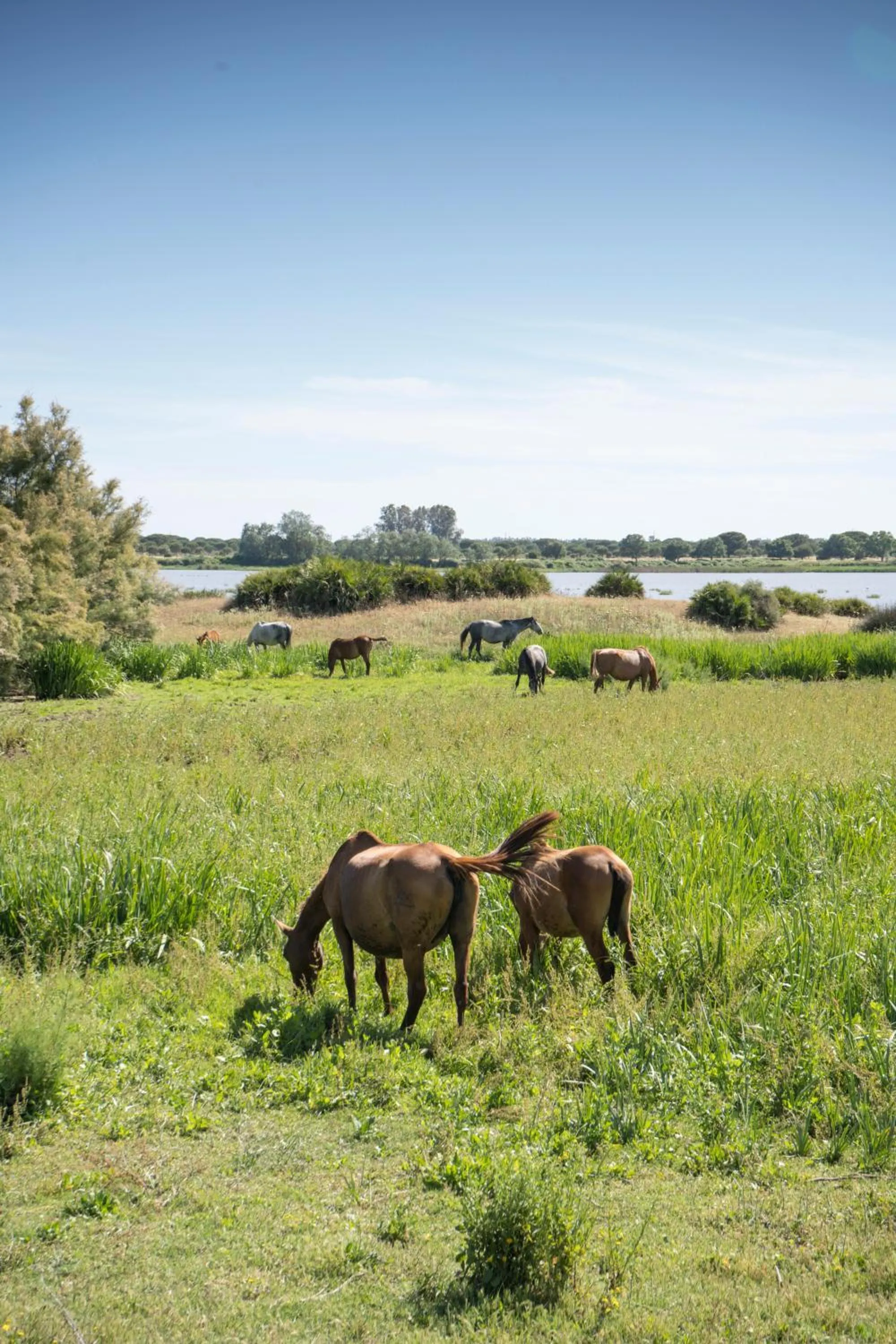 Nearby landmark in Hotel La Malvasía