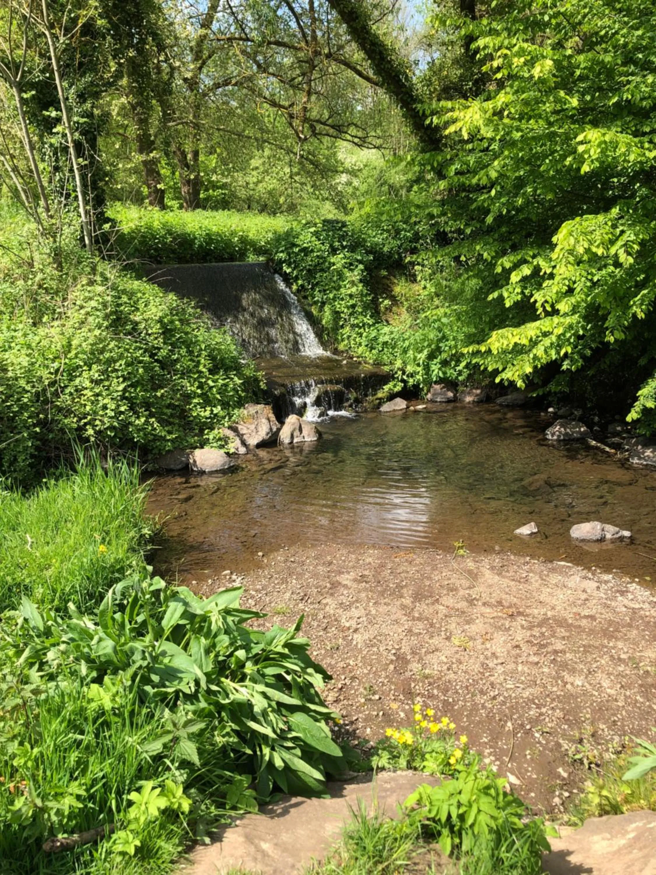 Staff in Haus Oberscholtes