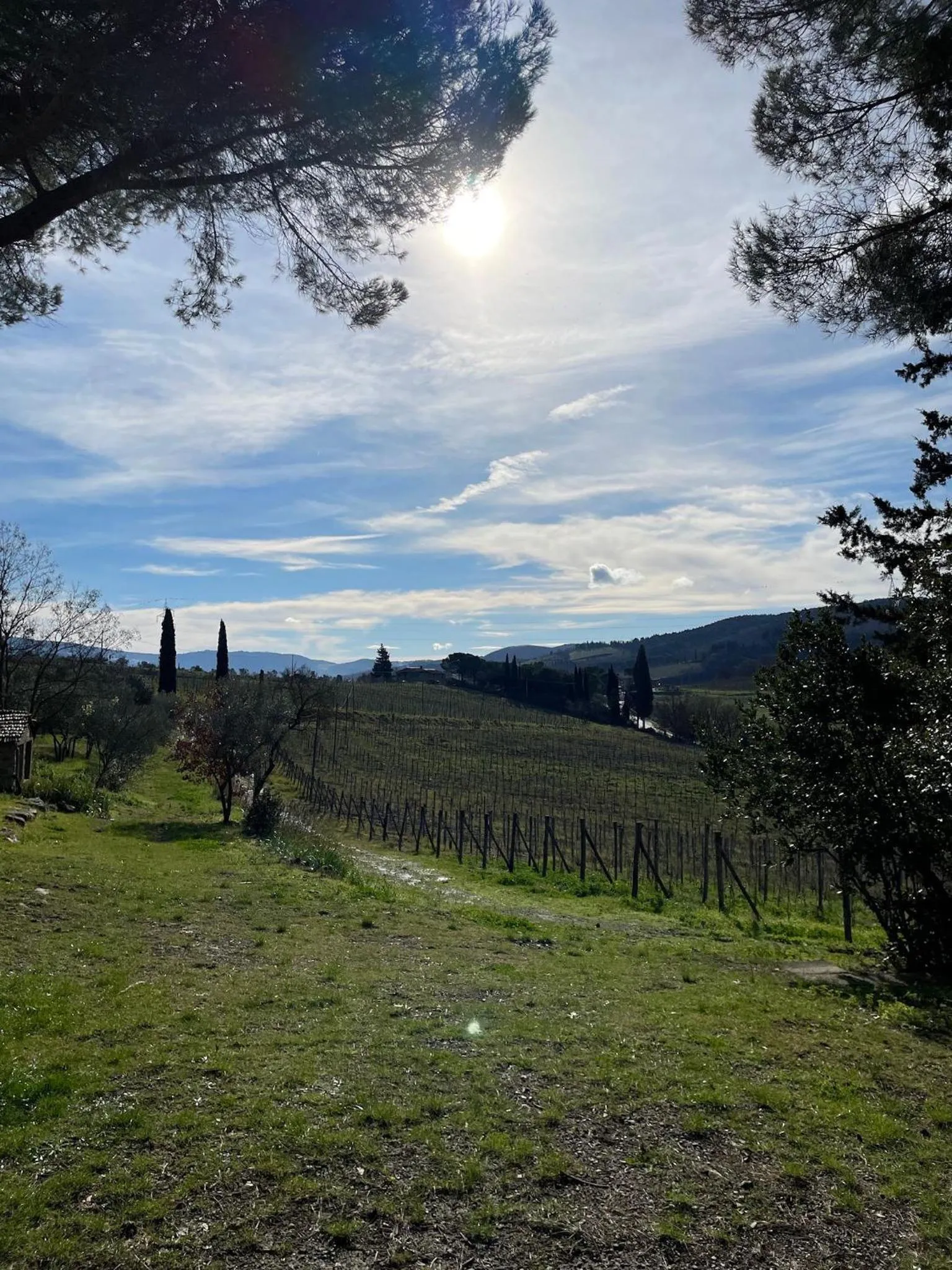 Garden in Corte Di Valle