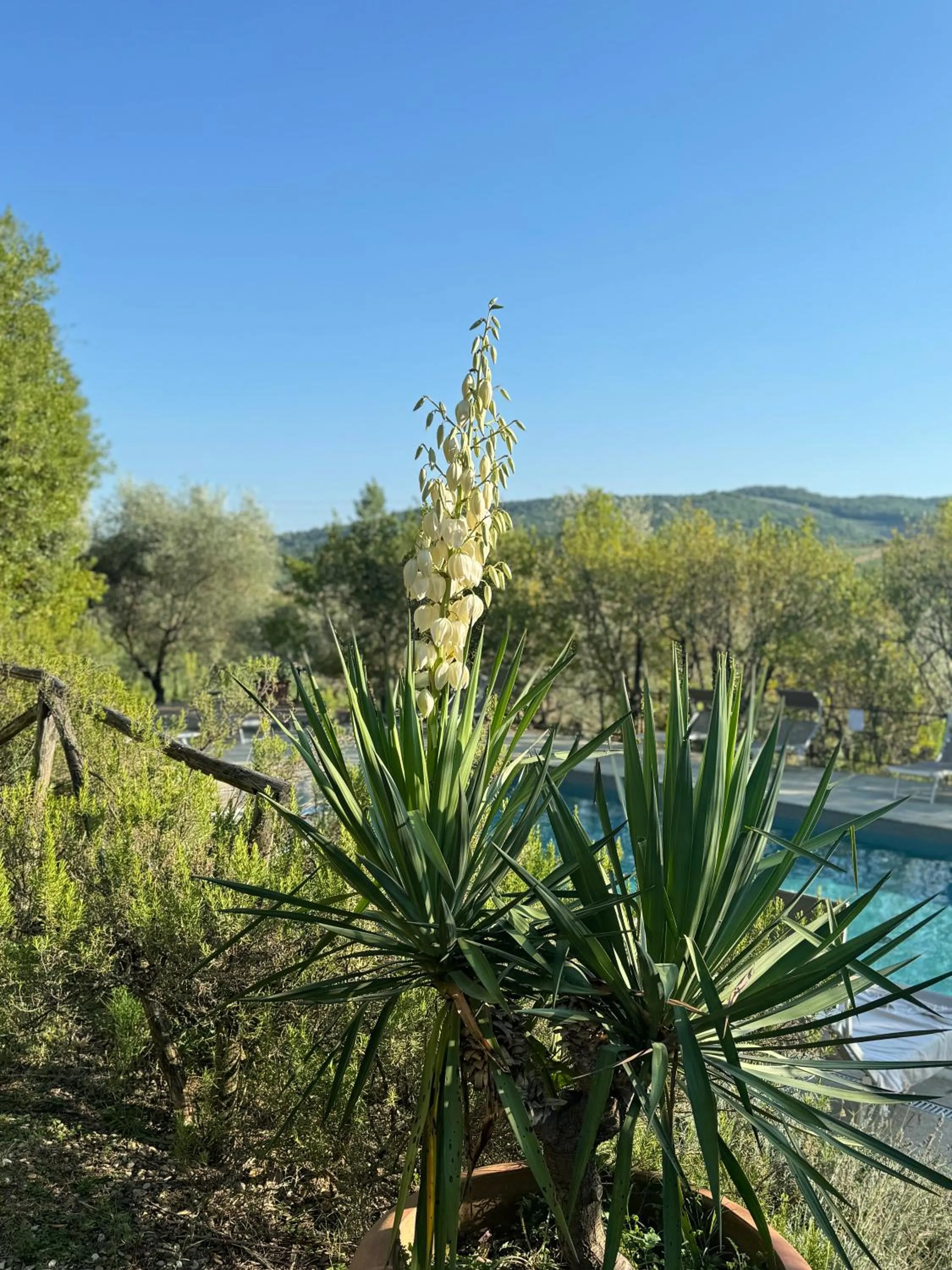 Spring in Corte Di Valle