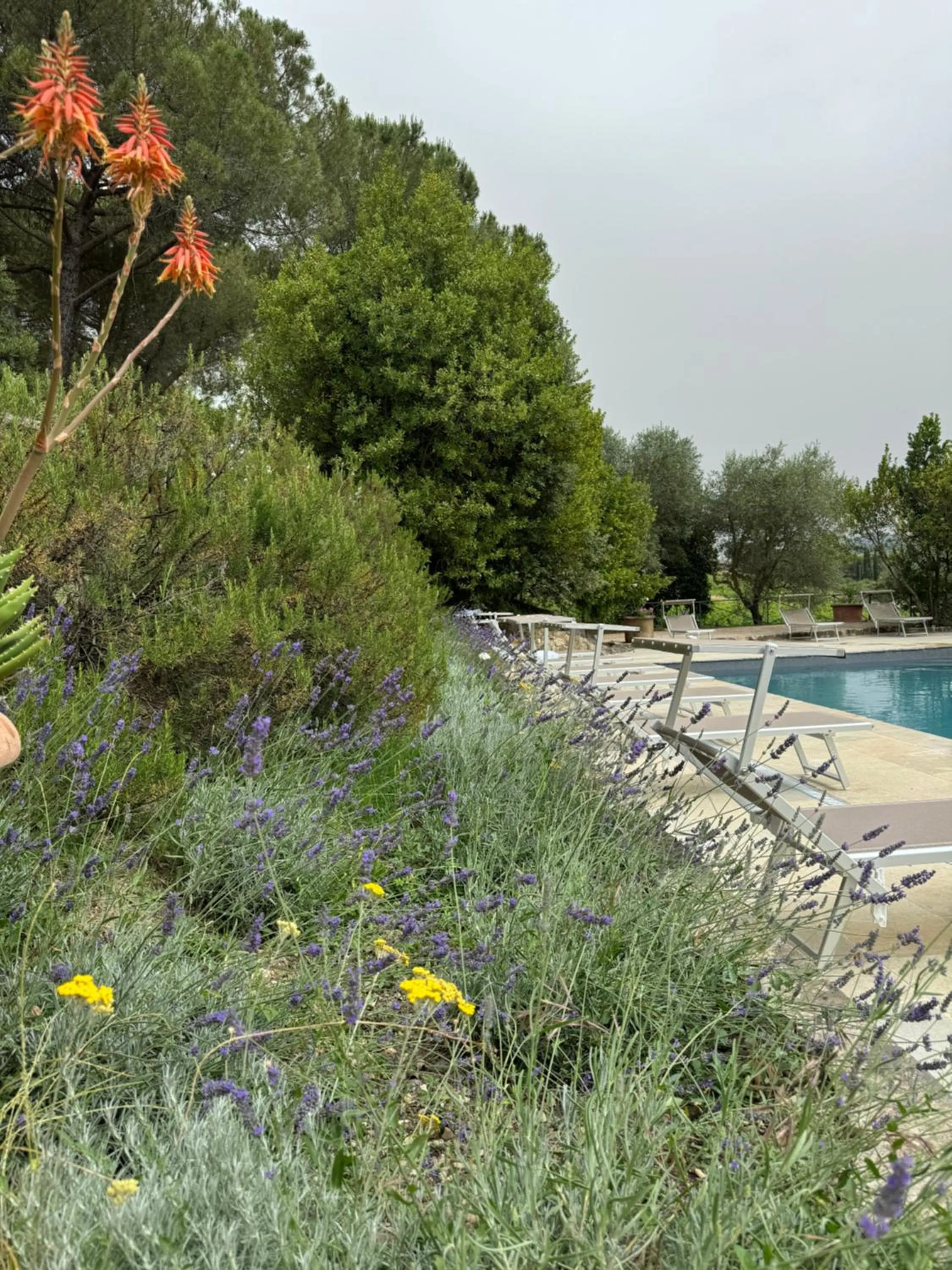 Garden in Corte Di Valle