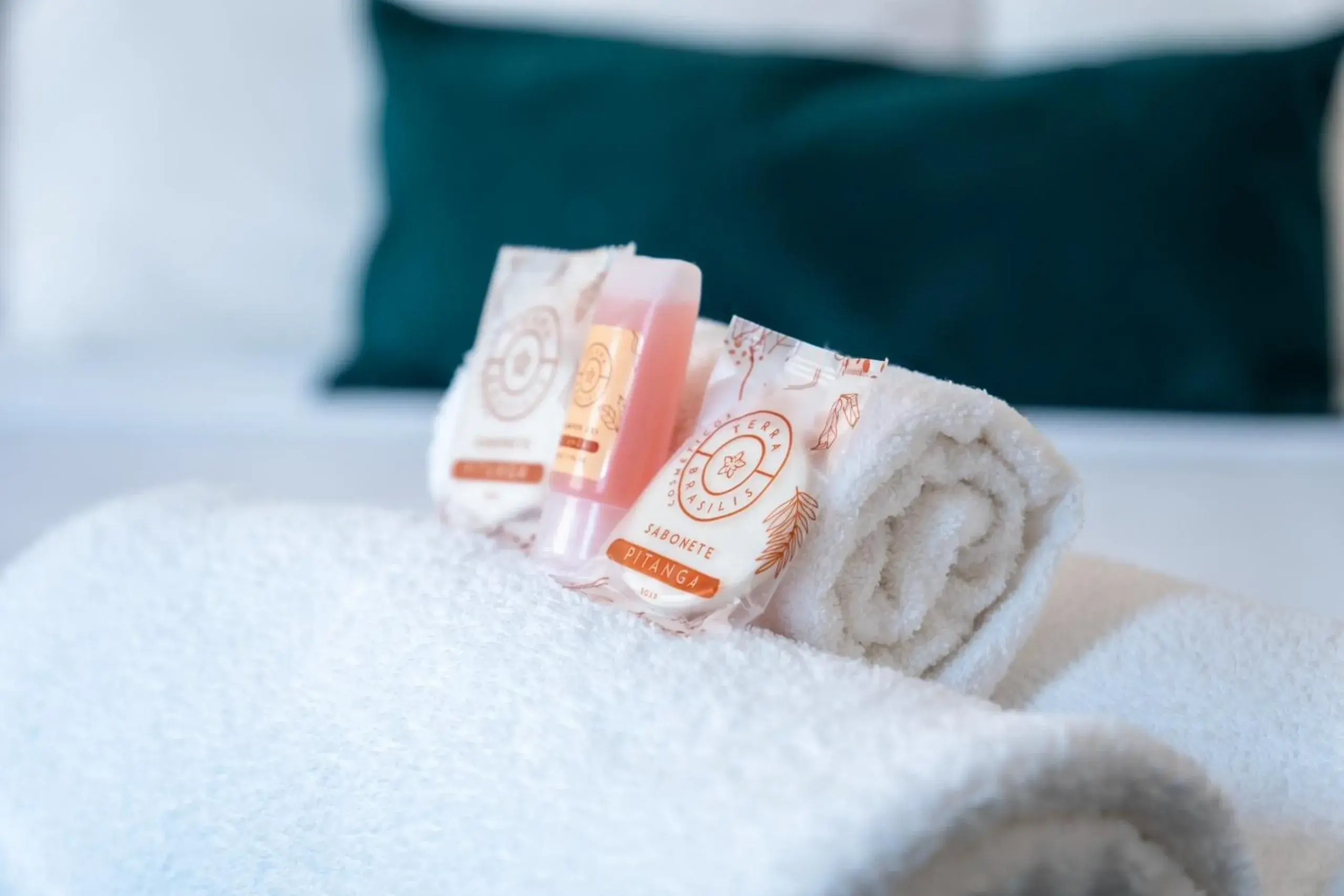 Double Suite in Pousada Enero Double Suite in Pousada Enero