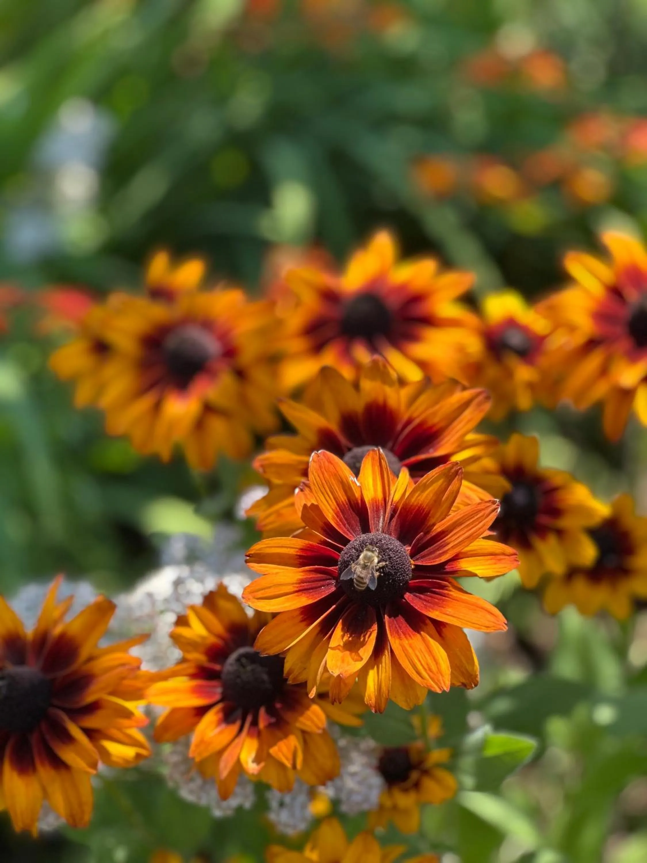 Resort at Eagle Point Golf Club Lodging