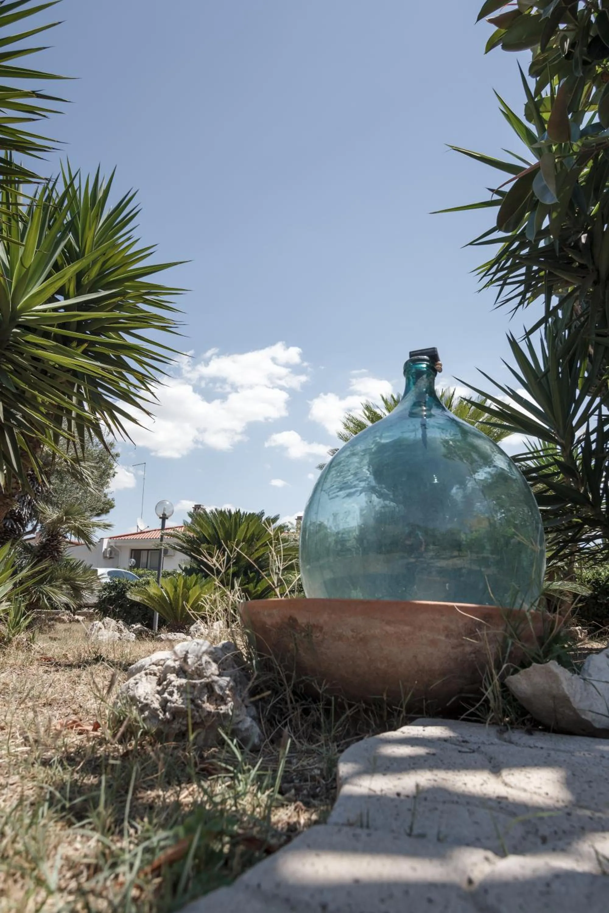 Natural landscape in Villa Lina Bed&Breakfast